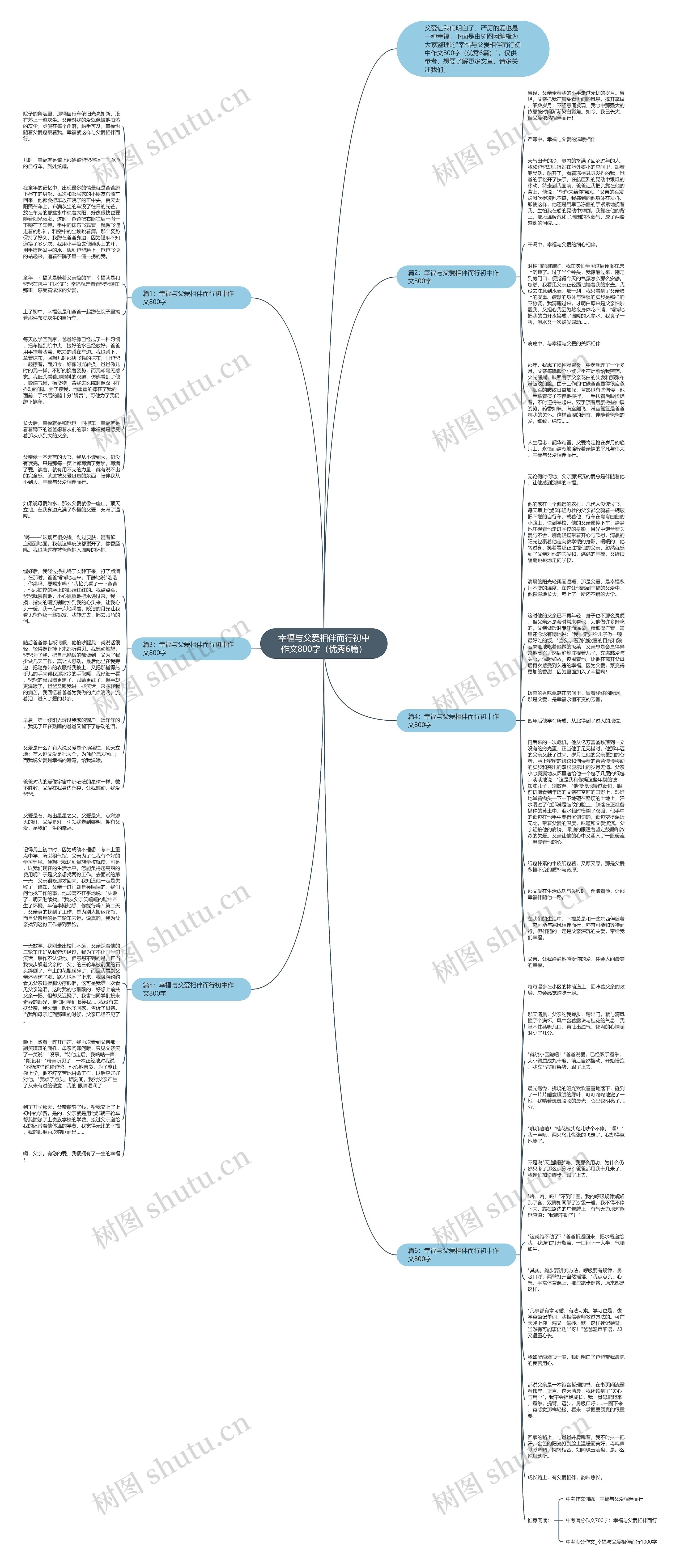 幸福与父爱相伴而行初中作文800字（优秀6篇）思维导图