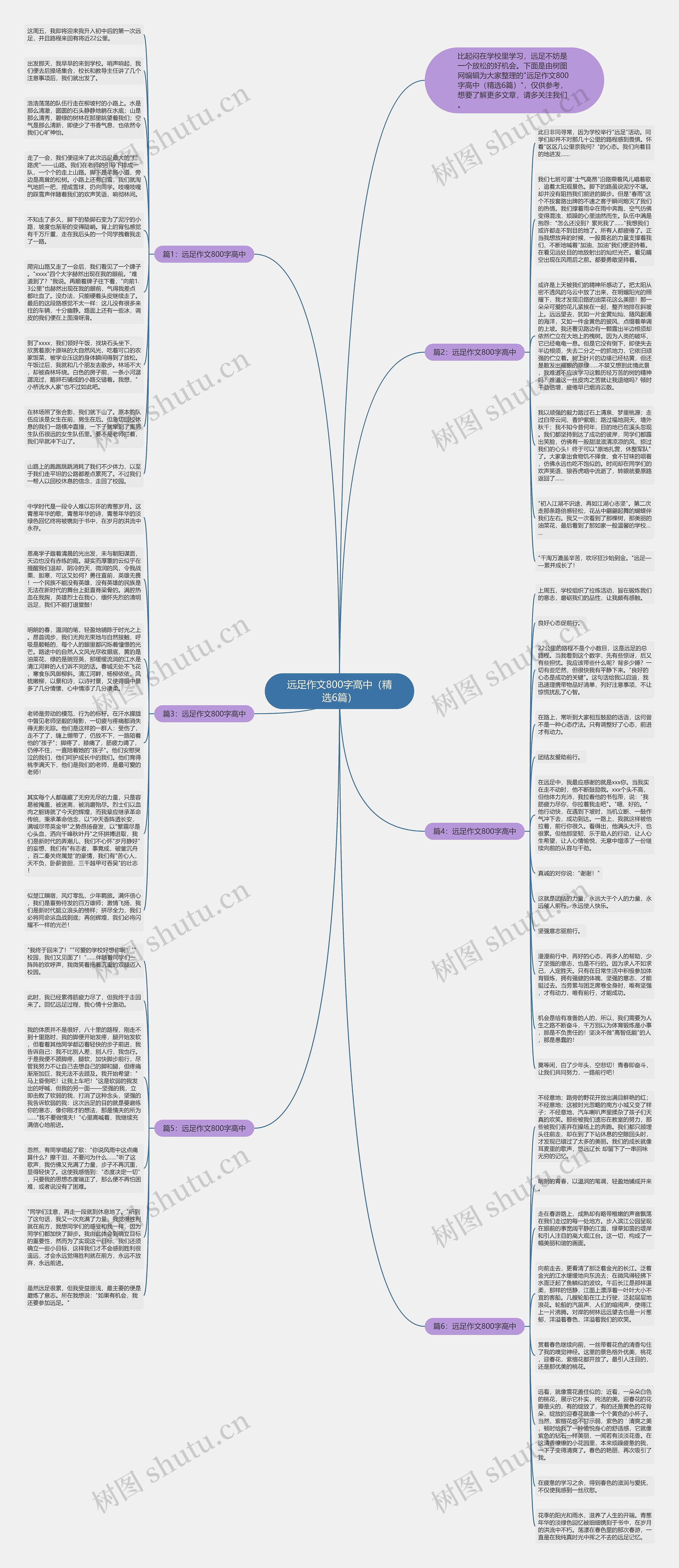 远足作文800字高中（精选6篇）思维导图