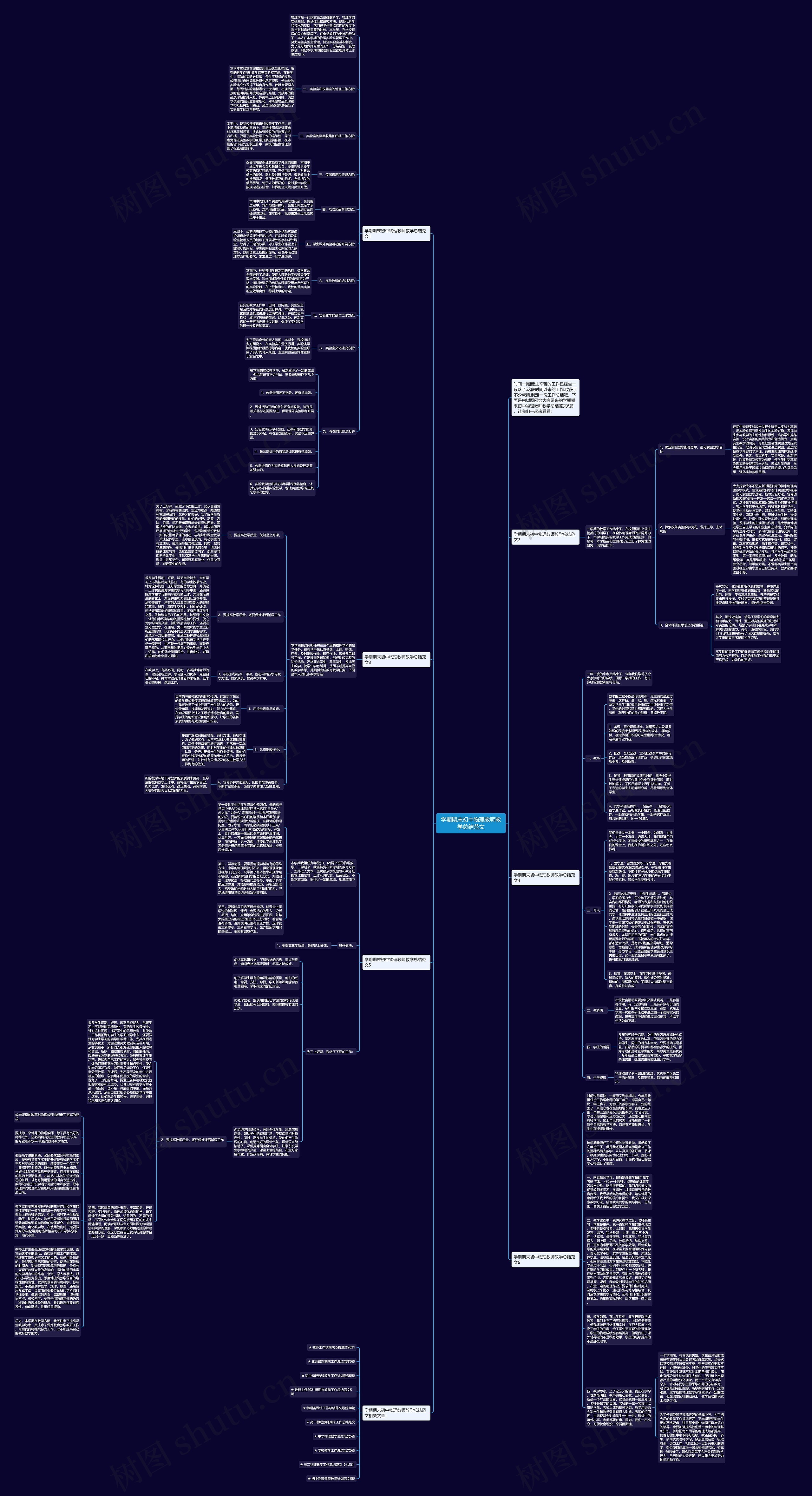 学期期末初中物理教师教学总结范文思维导图