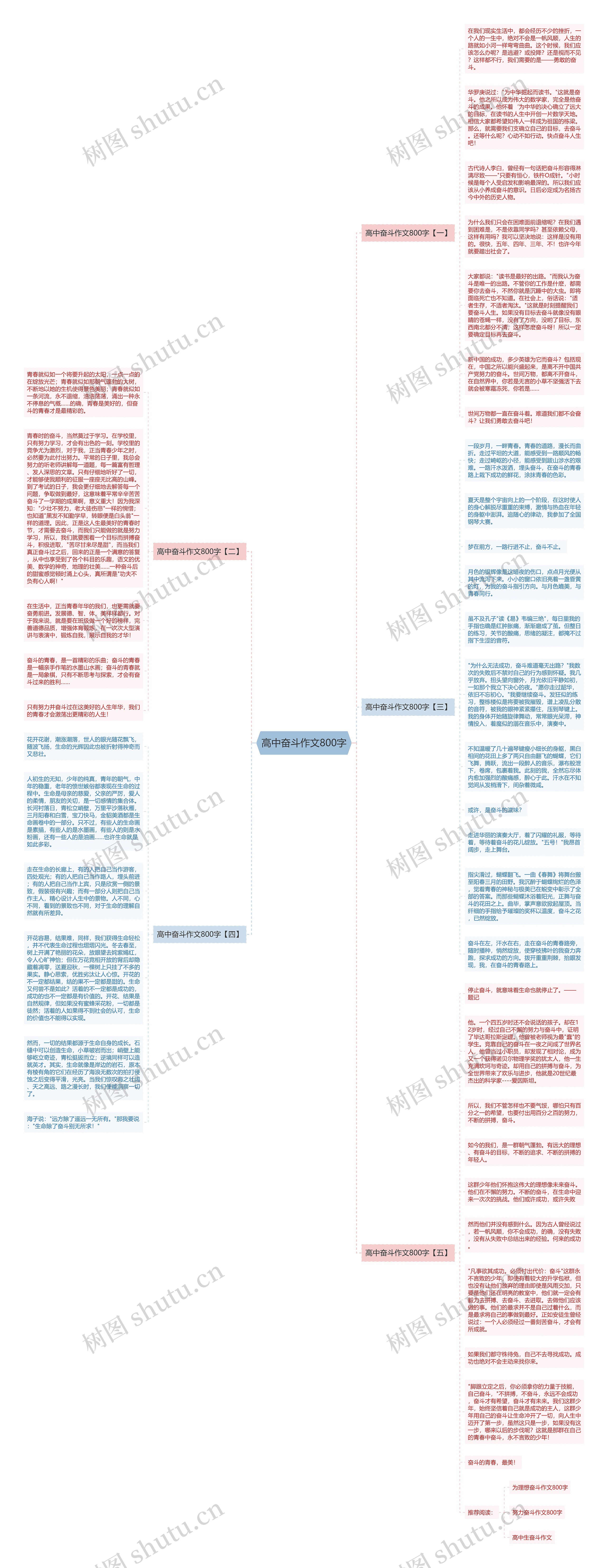 高中奋斗作文800字思维导图