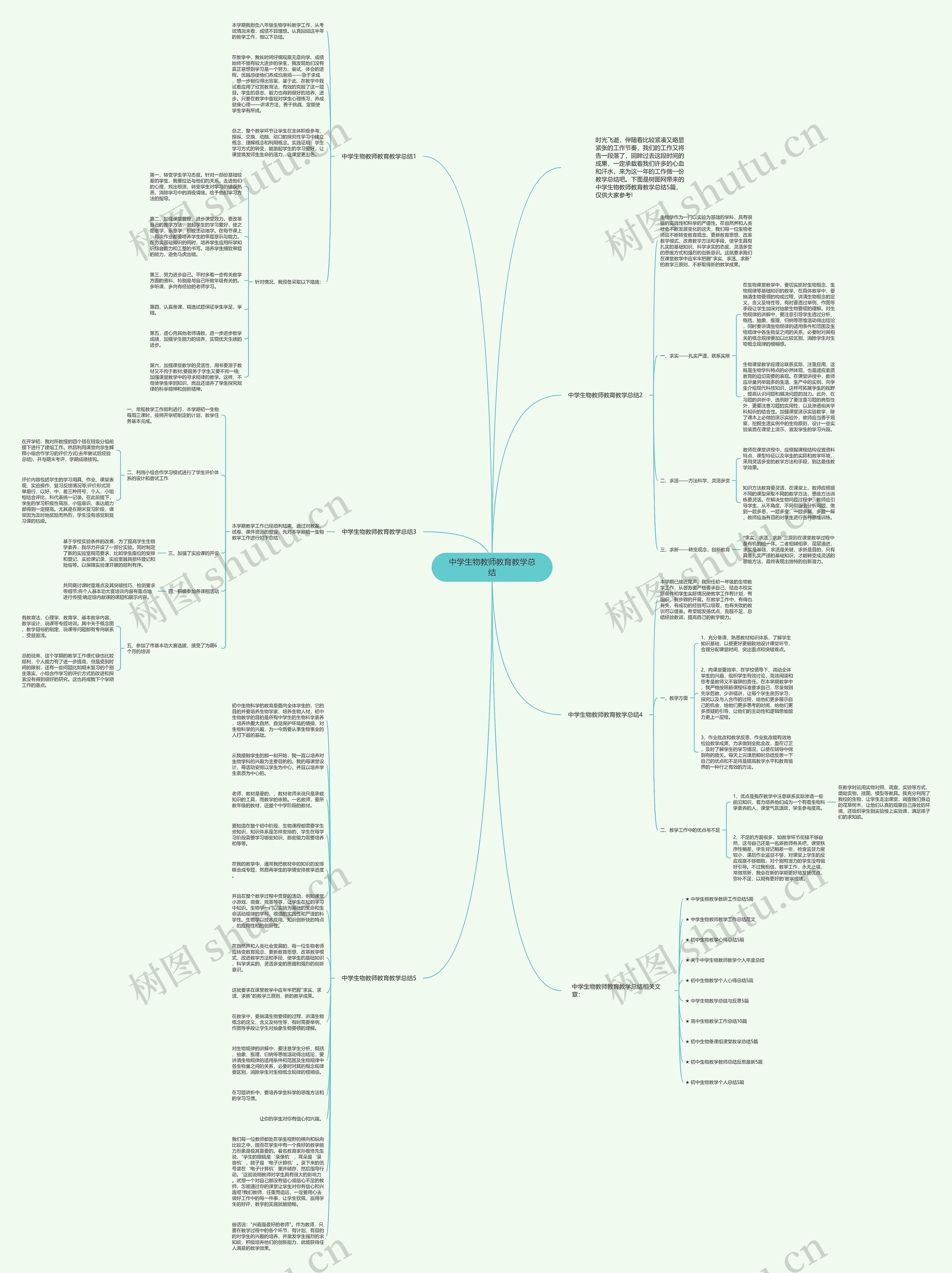 中学生物教师教育教学总结思维导图