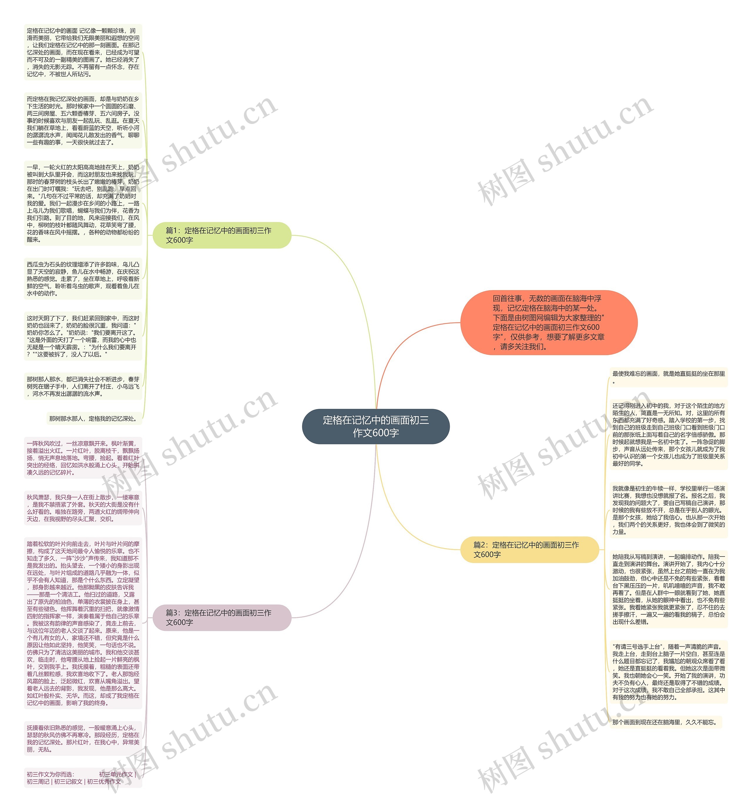 定格在记忆中的画面初三作文600字思维导图