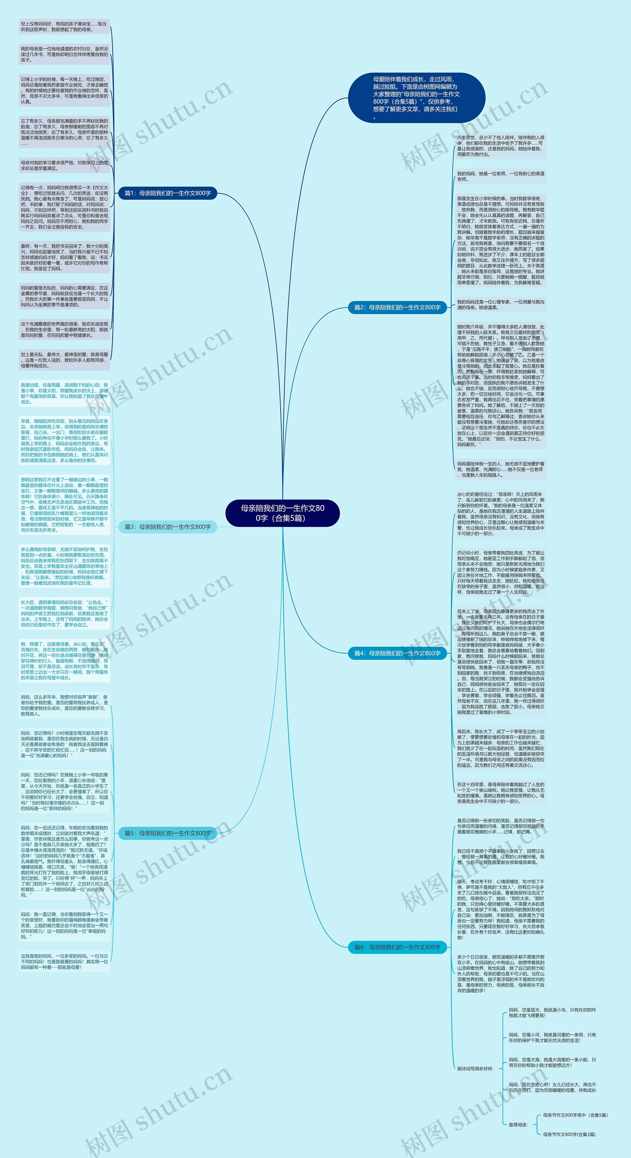 母亲陪我们的一生作文800字（合集5篇）