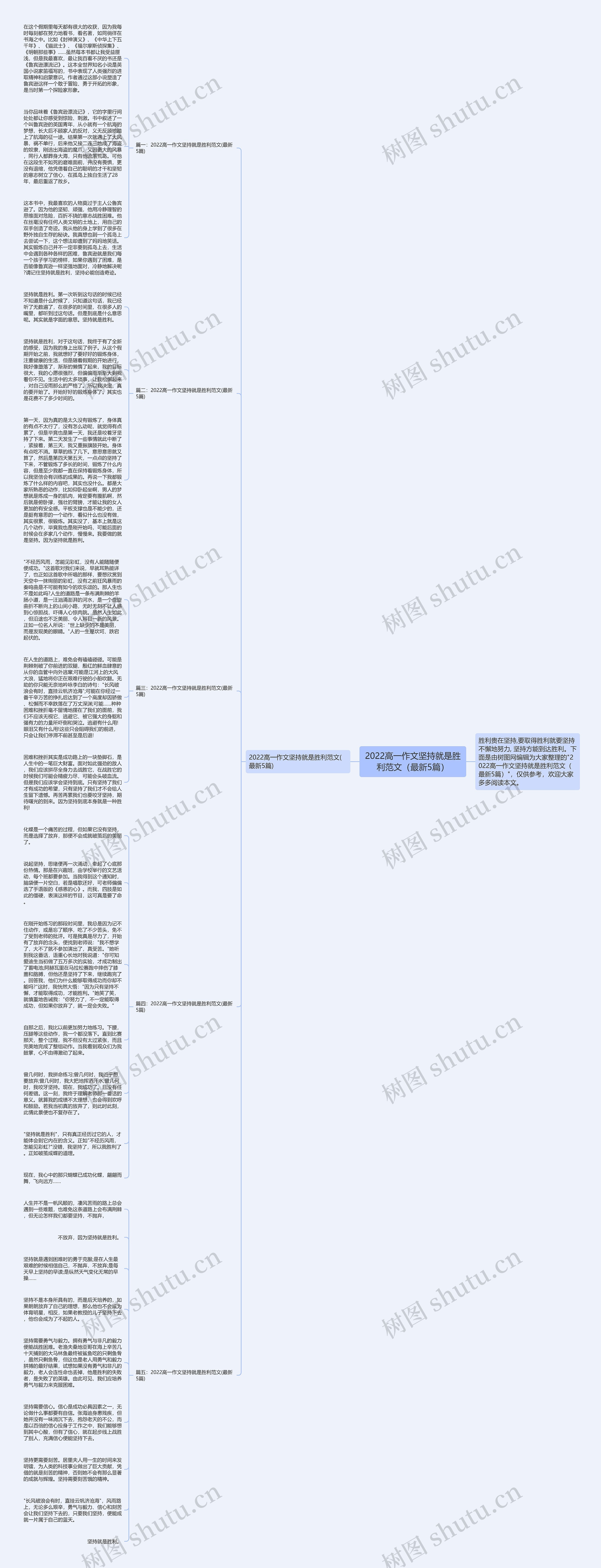 2022高一作文坚持就是胜利范文（最新5篇）思维导图