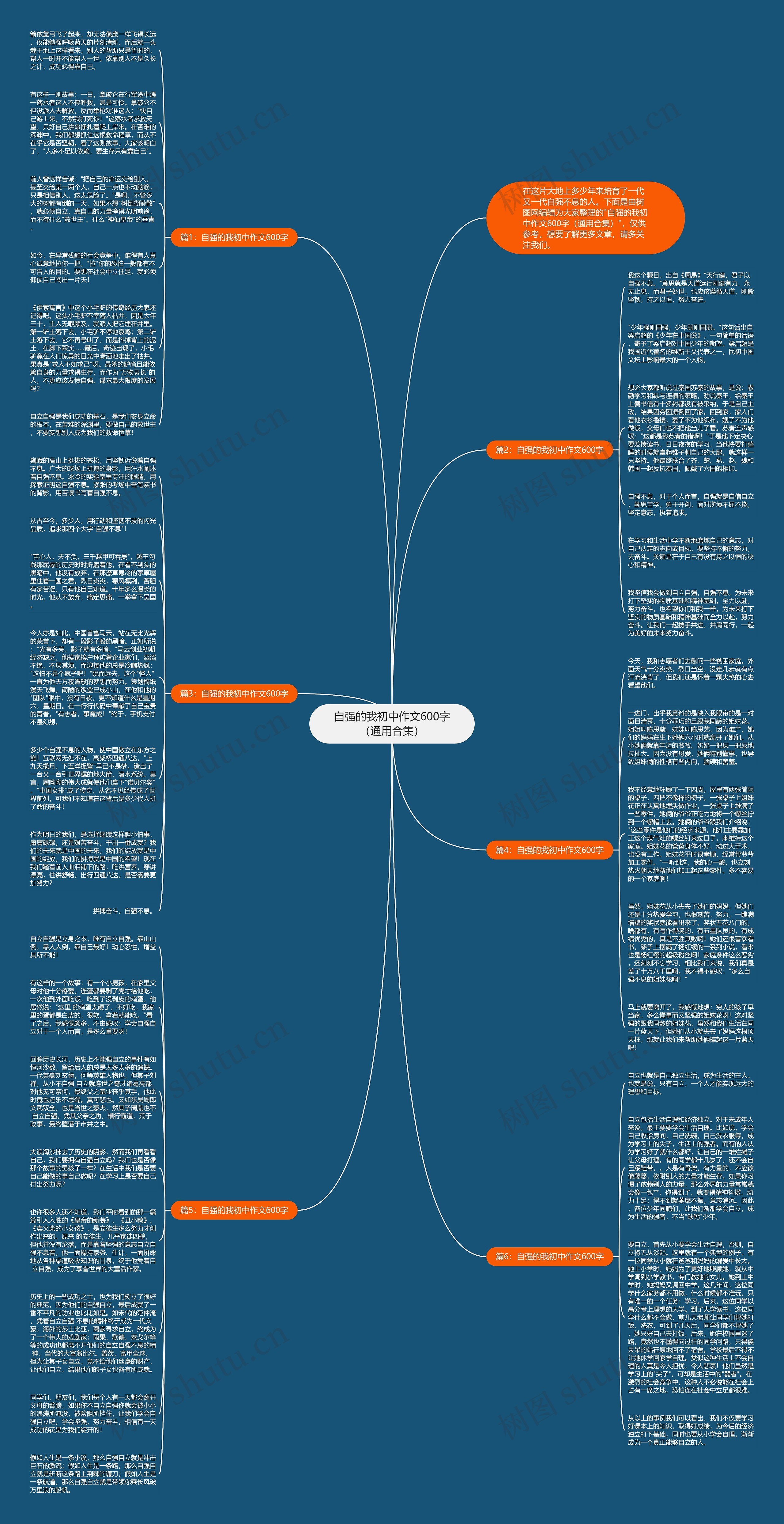 自强的我初中作文600字（通用合集）思维导图
