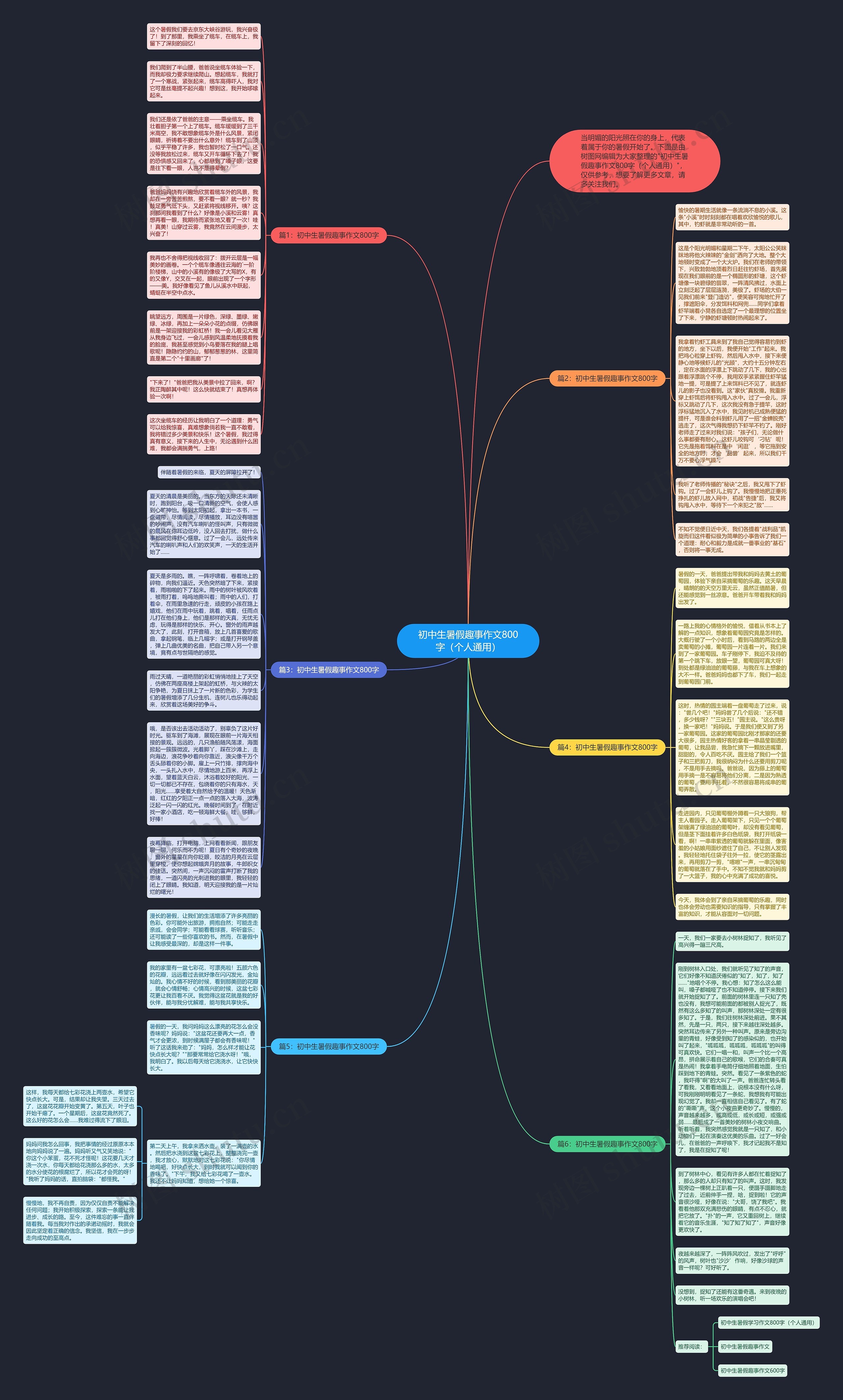初中生暑假趣事作文800字（个人通用）思维导图