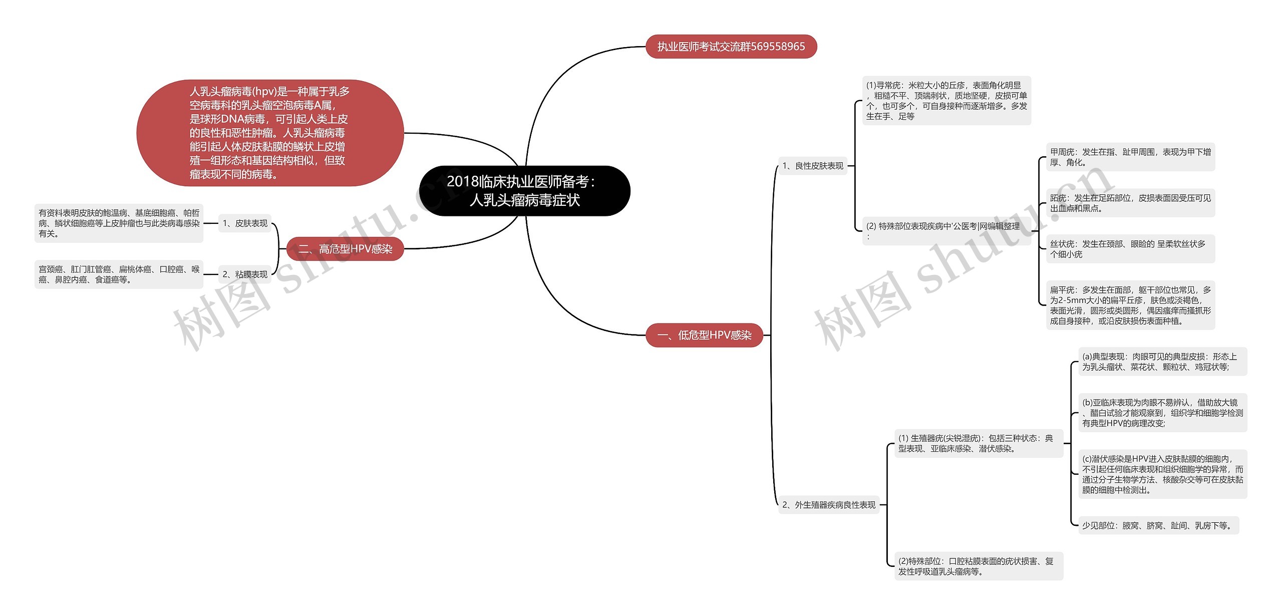 2018临床执业医师备考：人乳头瘤病毒症状思维导图