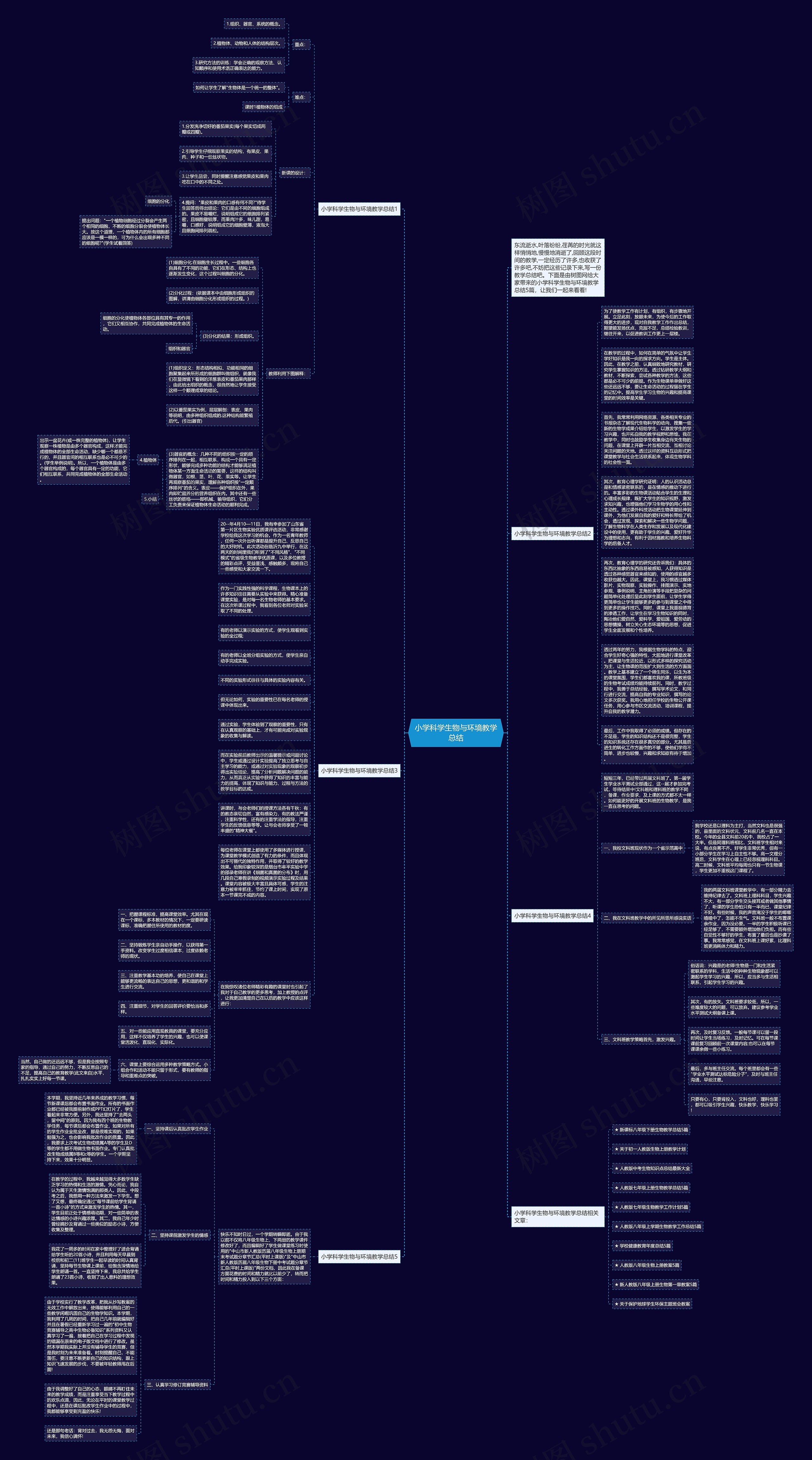 小学科学生物与环境教学总结思维导图