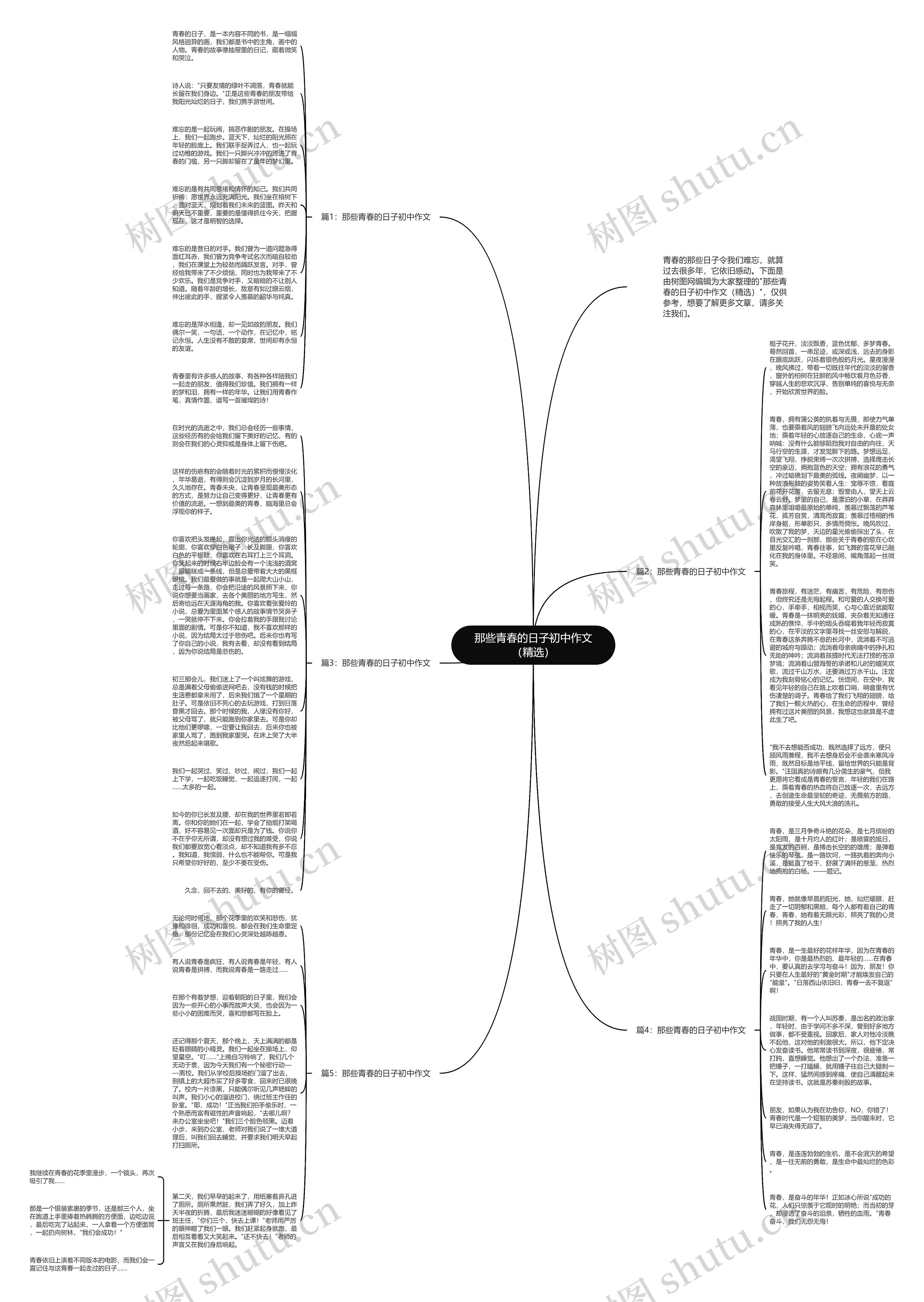 那些青春的日子初中作文（精选）思维导图