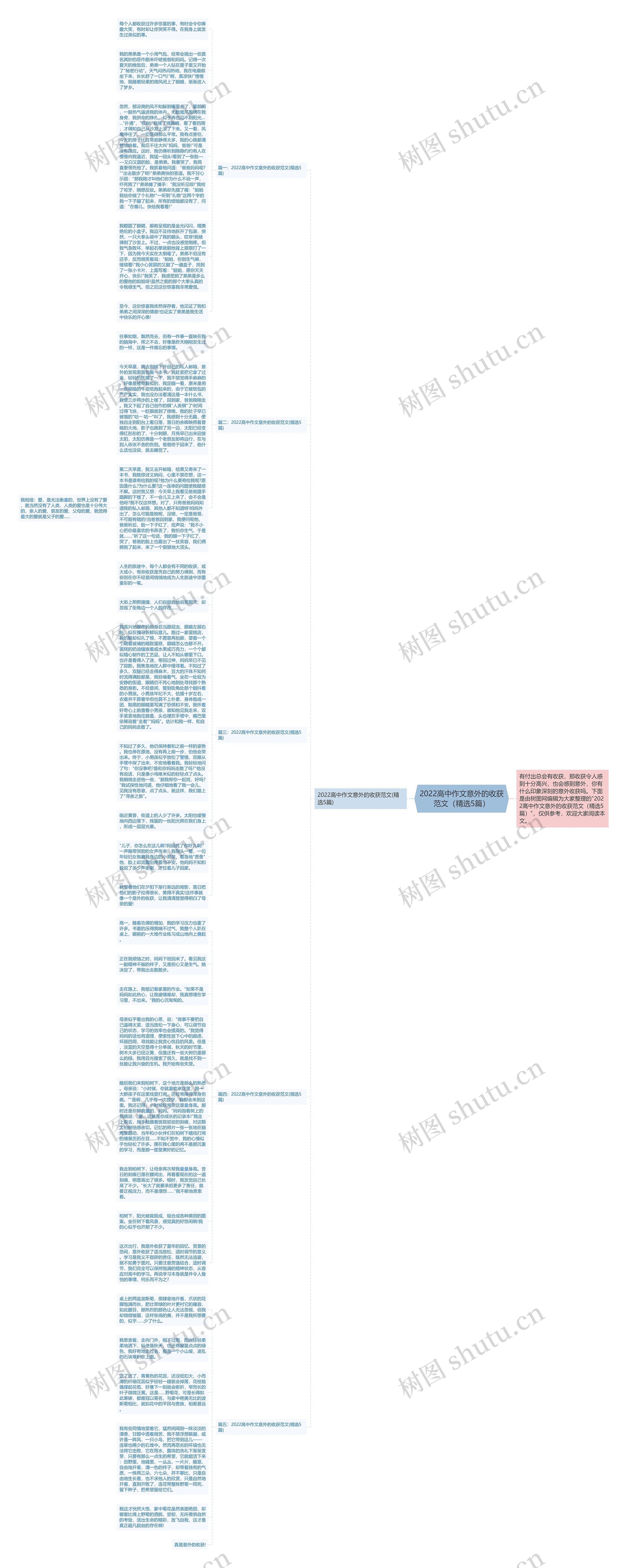 2022高中作文意外的收获范文（精选5篇）思维导图
