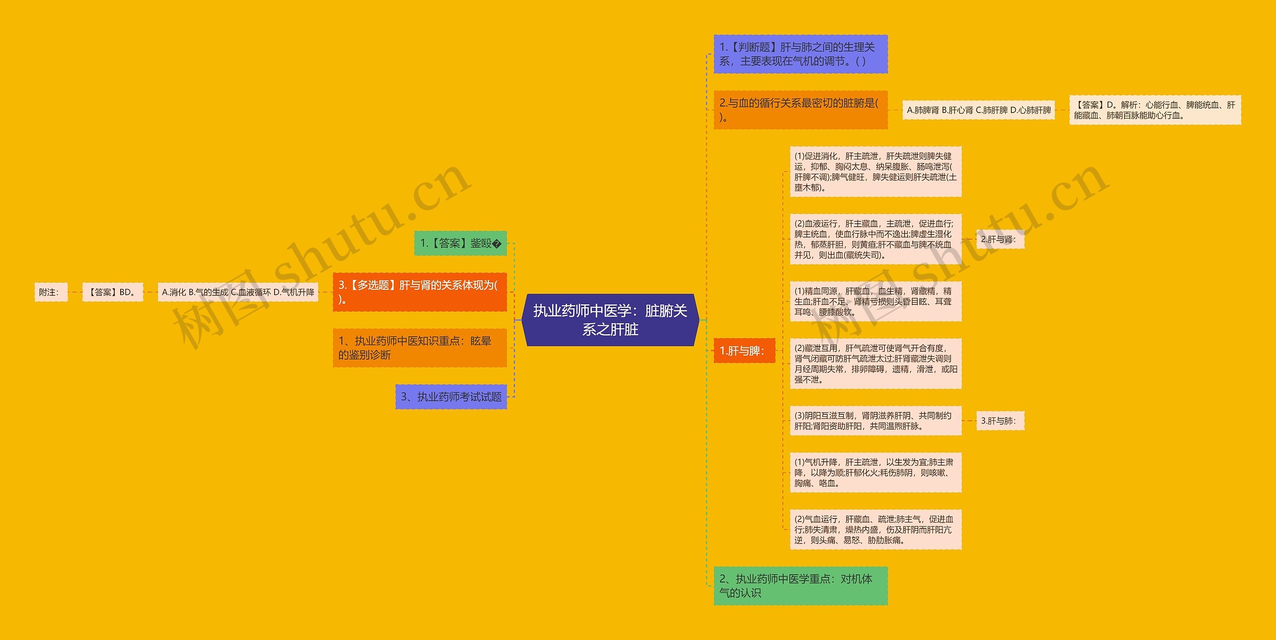 执业药师中医学:脏腑关系之肝脏思维导图高清图 执业药师中医学:脏腑关系之肝脏思维导图