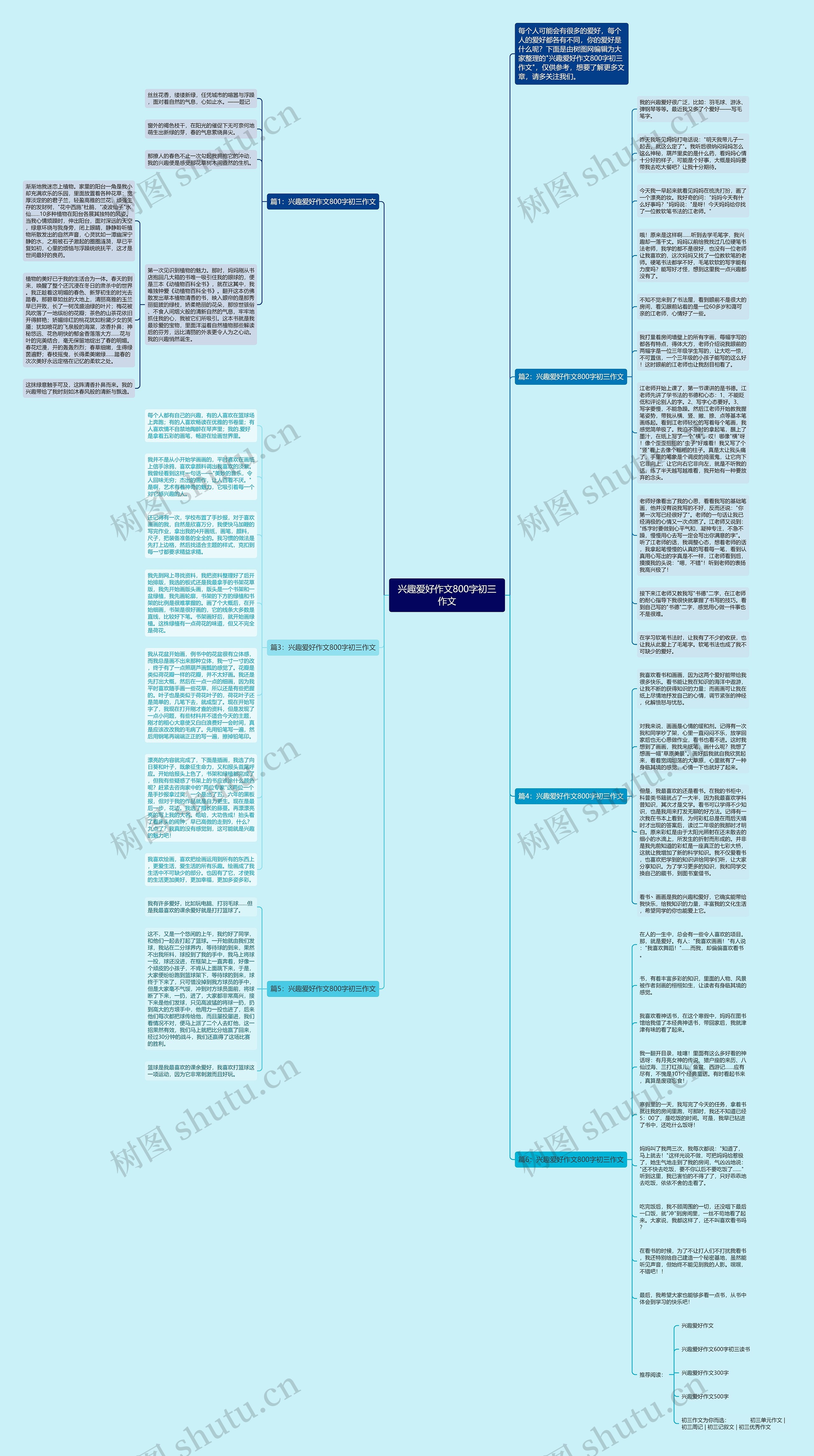 兴趣爱好作文800字初三作文思维导图高清图 兴趣爱好作文800字初三作文思维导图