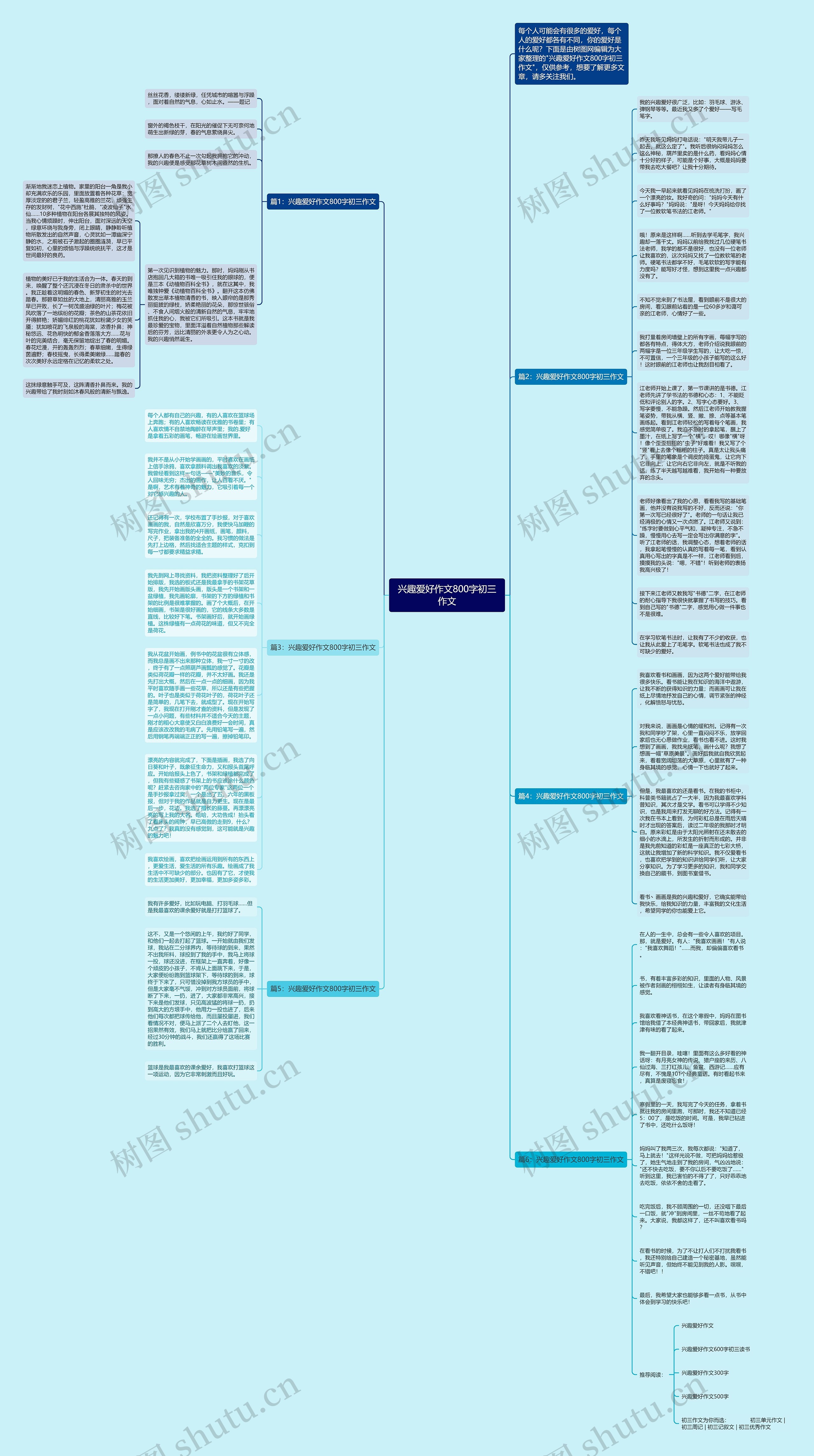 兴趣爱好作文800字初三作文思维导图