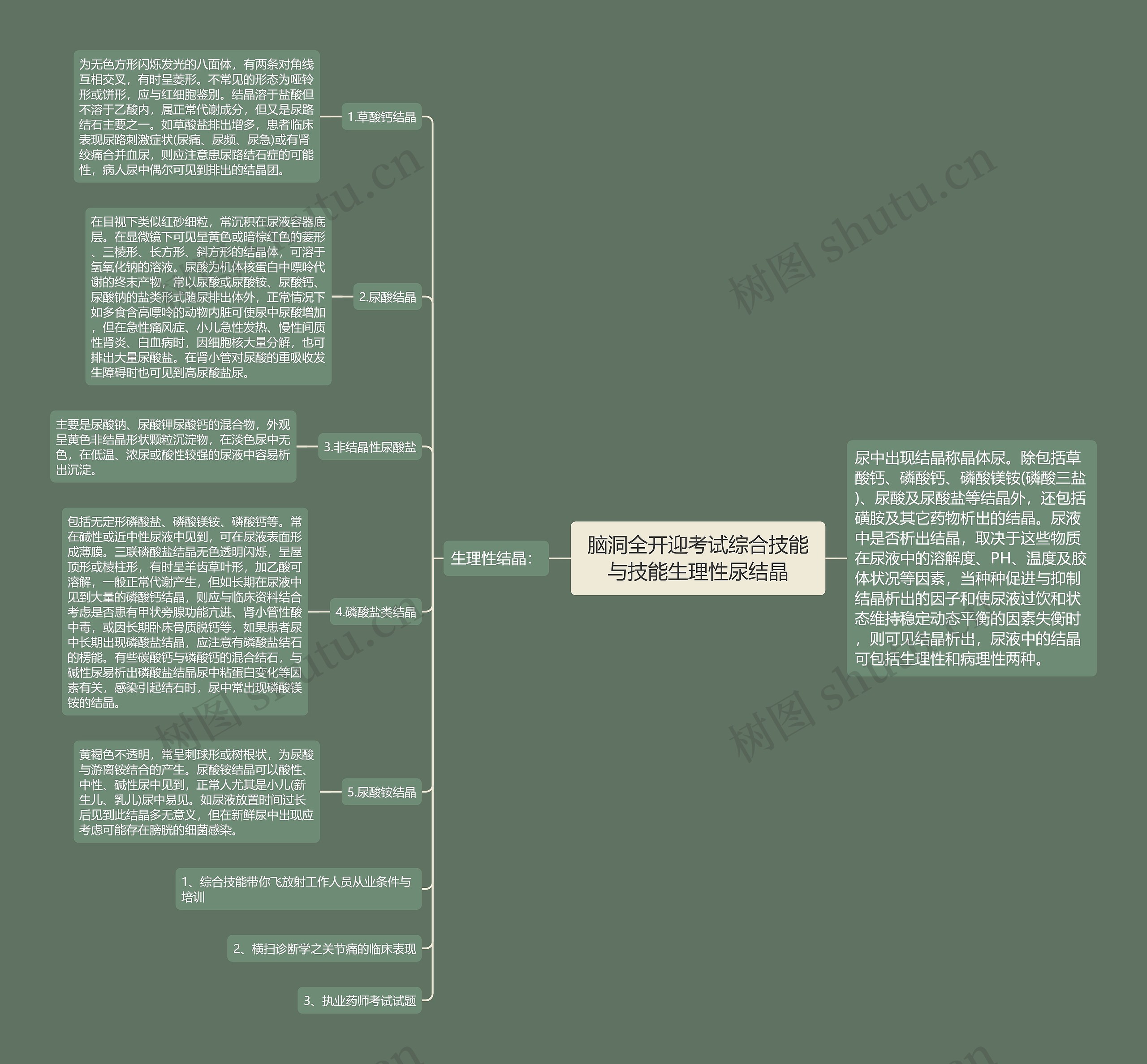 脑洞全开迎考试综合技能与技能生理性尿结晶思维导图