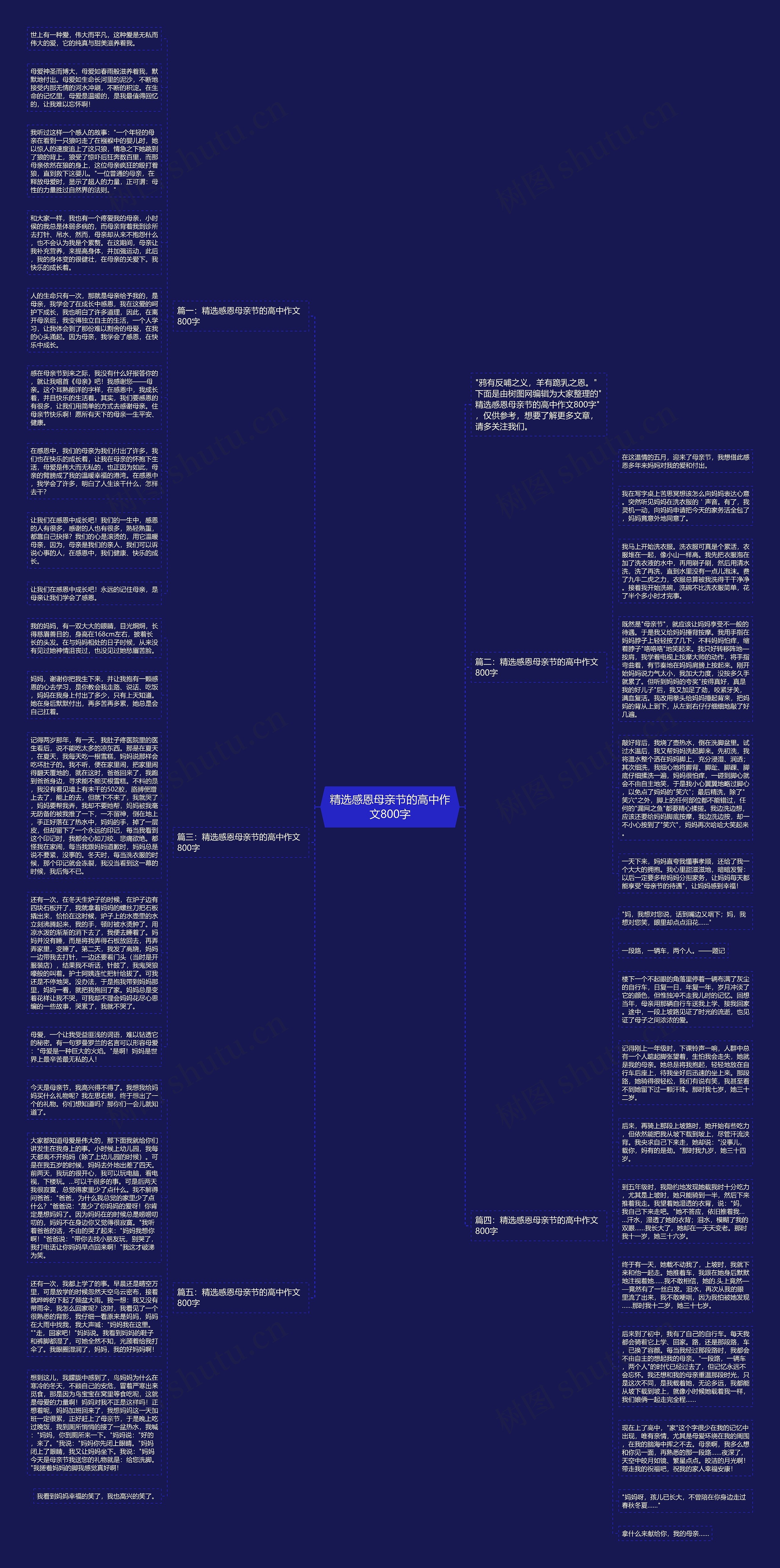 精选感恩母亲节的高中作文800字思维导图