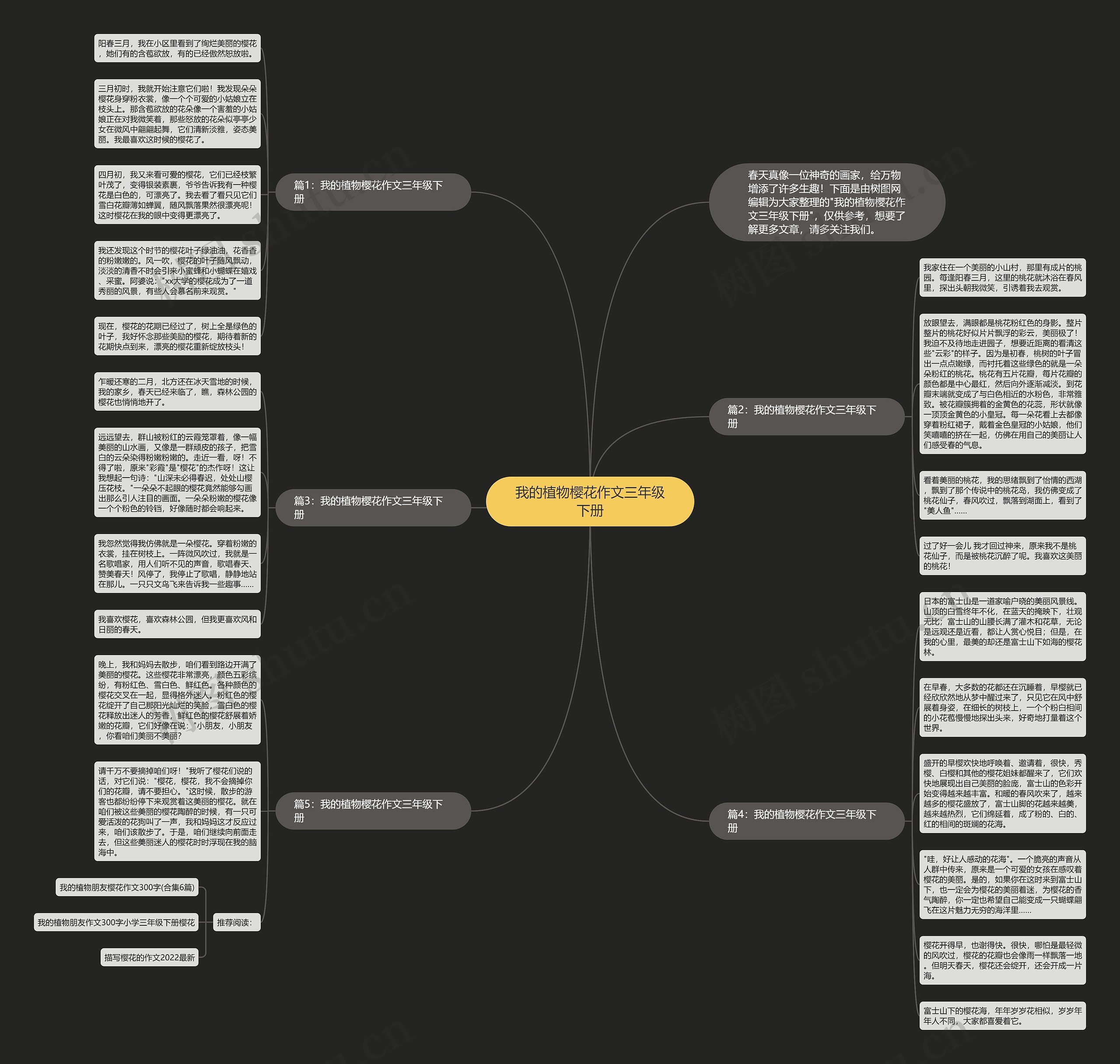 我的植物樱花作文三年级下册思维导图高清图 我的植物樱花作文三年级下册思维导图