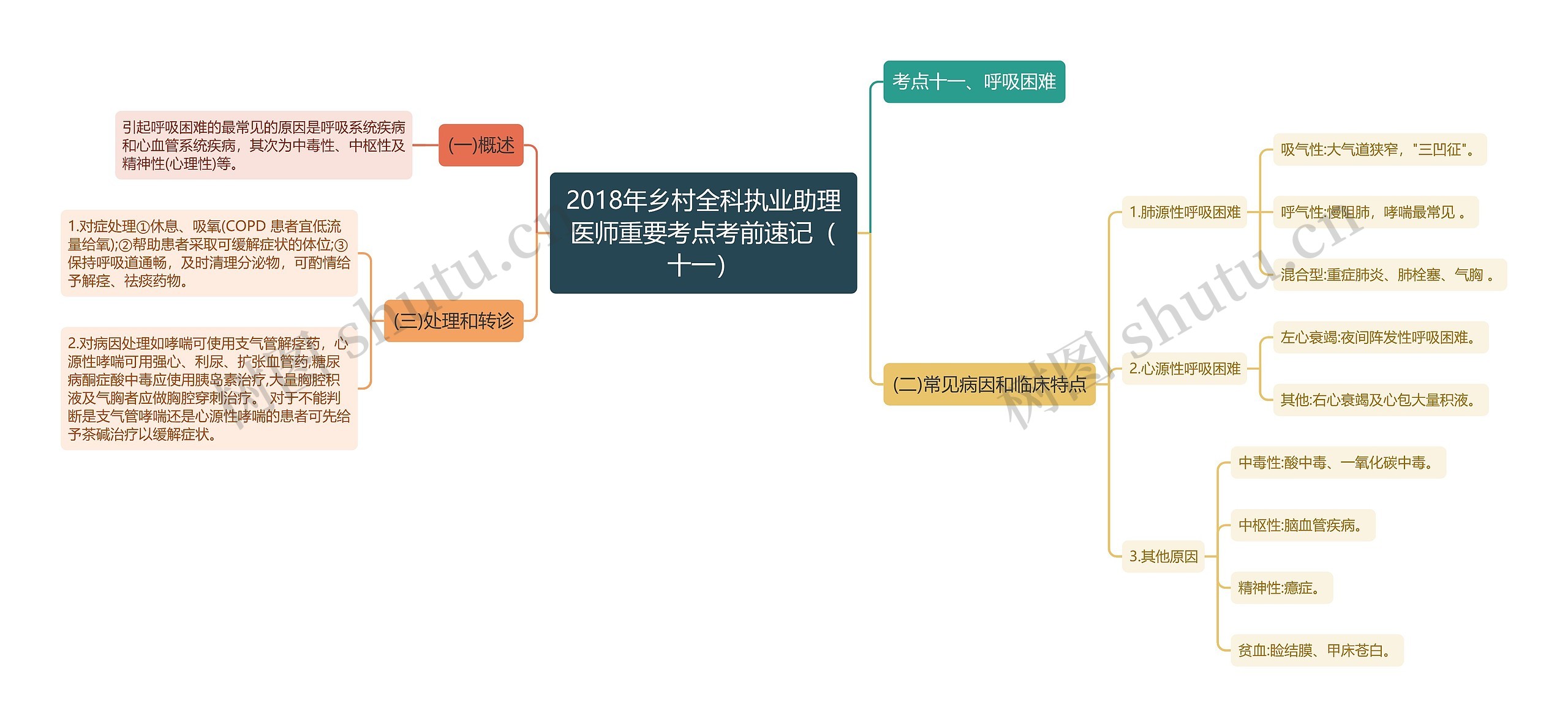 2018年乡村全科执业助理医师重要考点考前速记（十一）思维导图