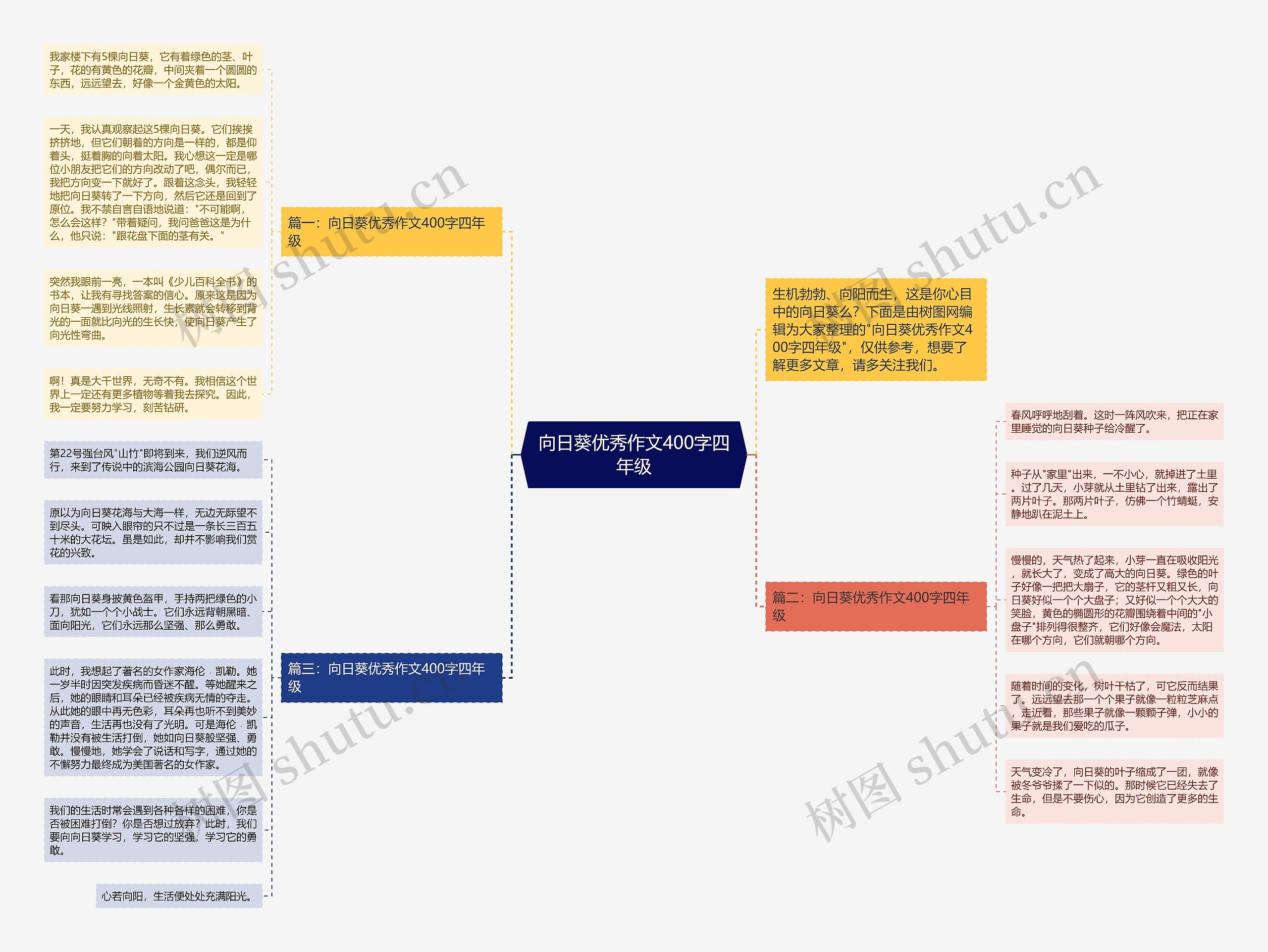 向日葵优秀作文400字四年级思维导图