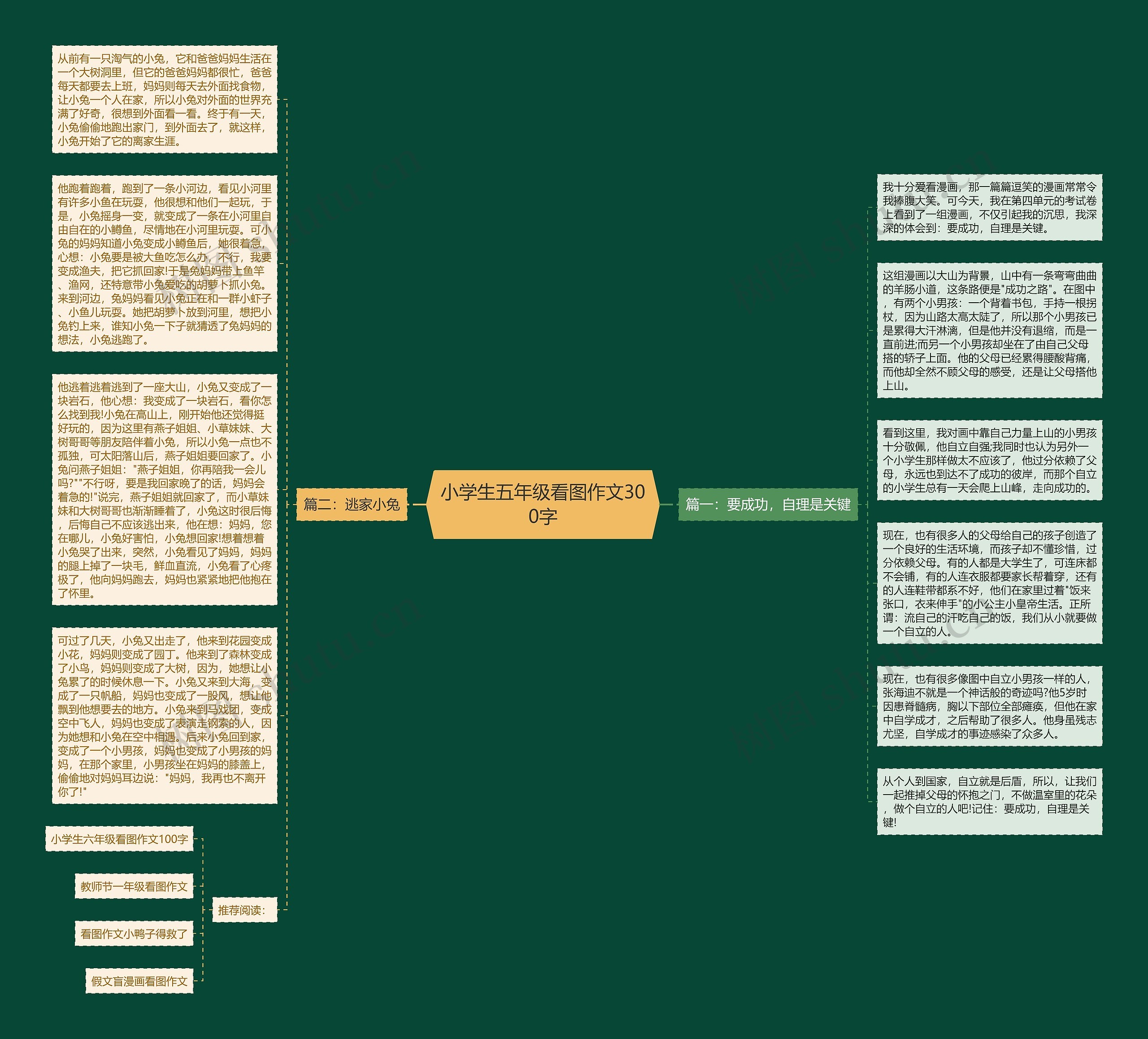 小学生五年级看图作文300字思维导图