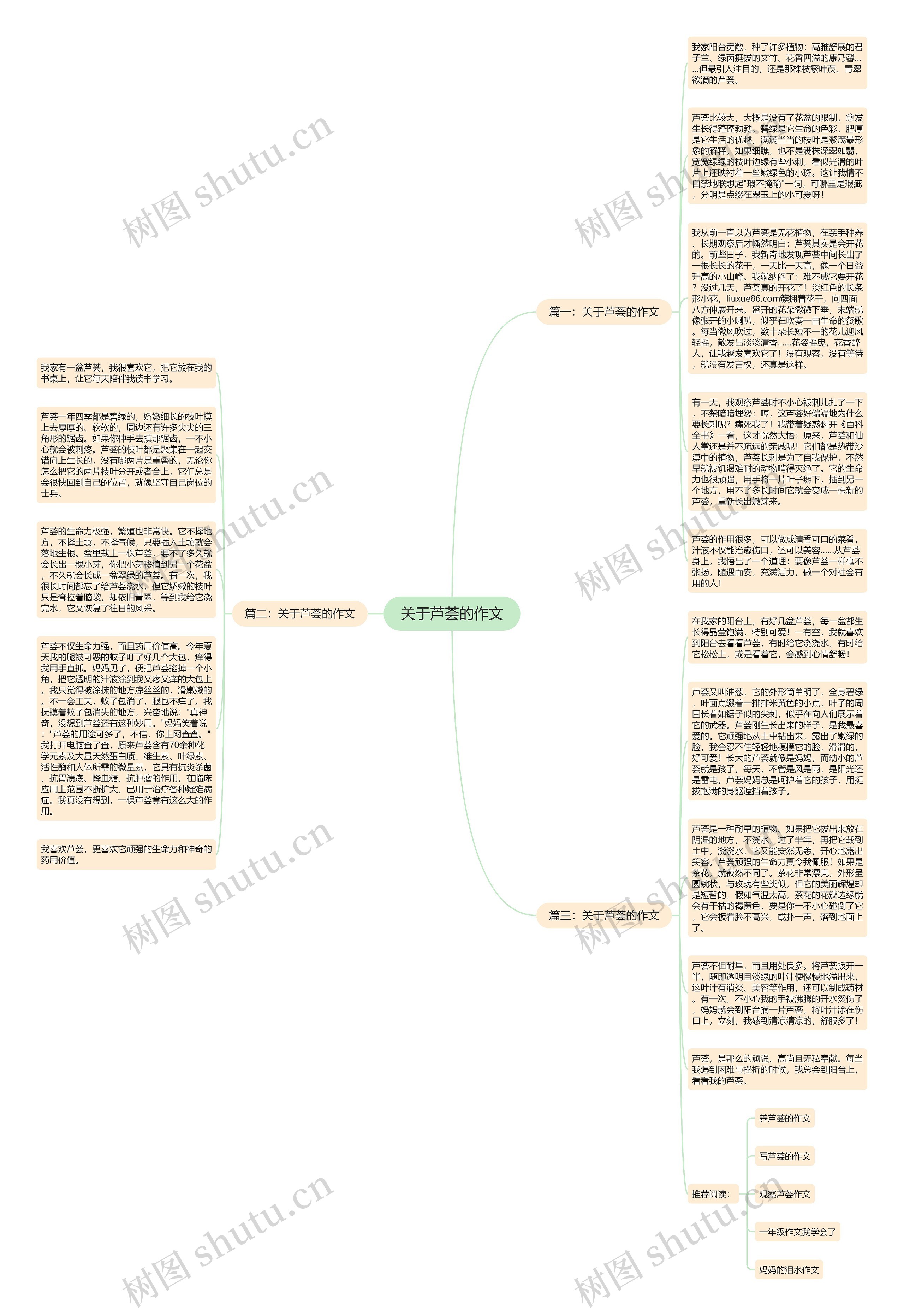 关于芦荟的作文思维导图