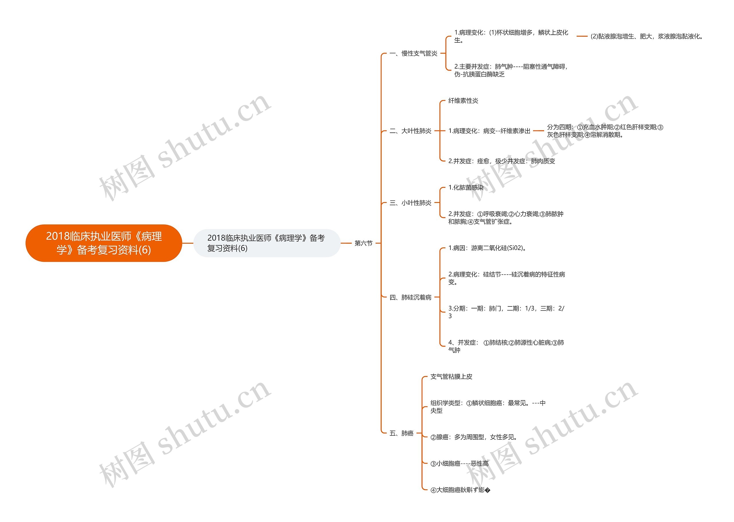 2018临床执业医师《病理学》备考复习资料(6)思维导图