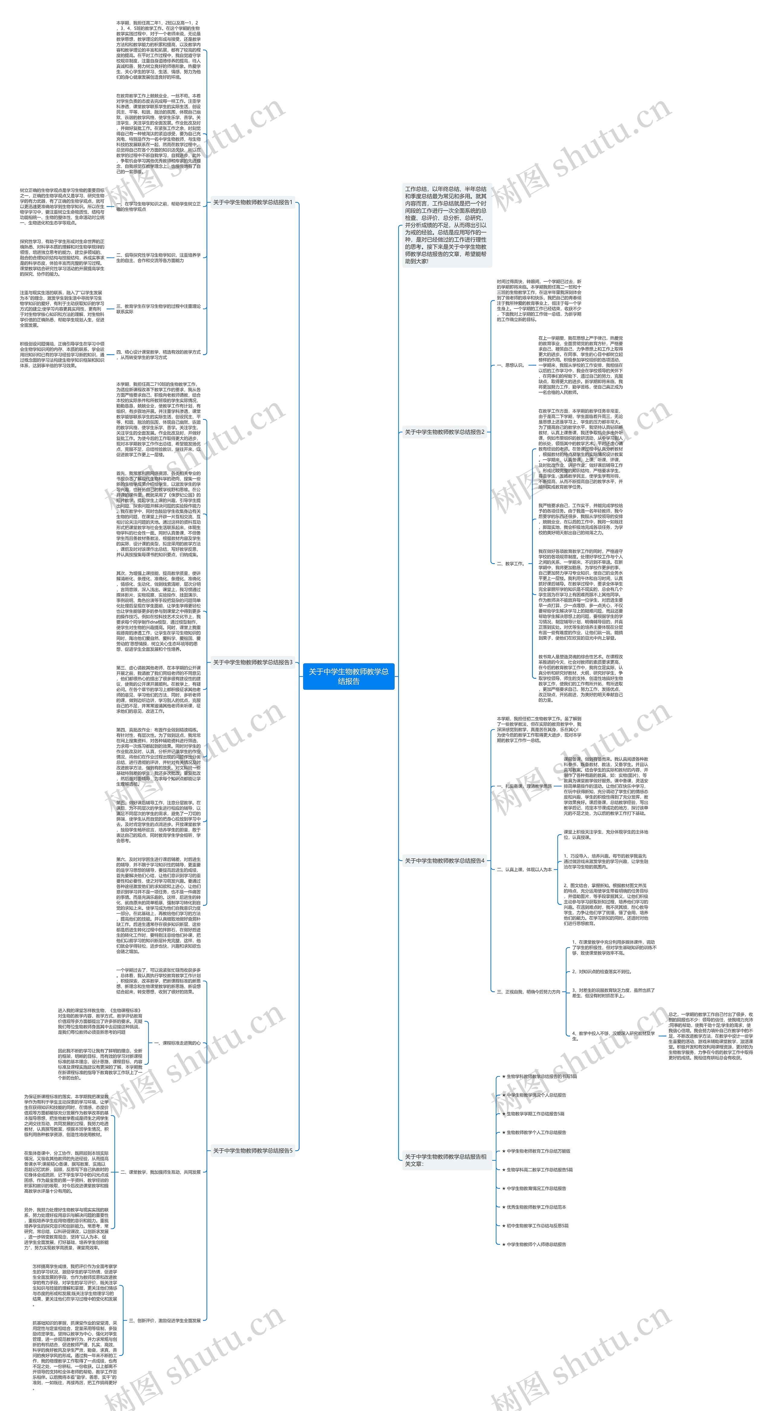 关于中学生物教师教学总结报告思维导图