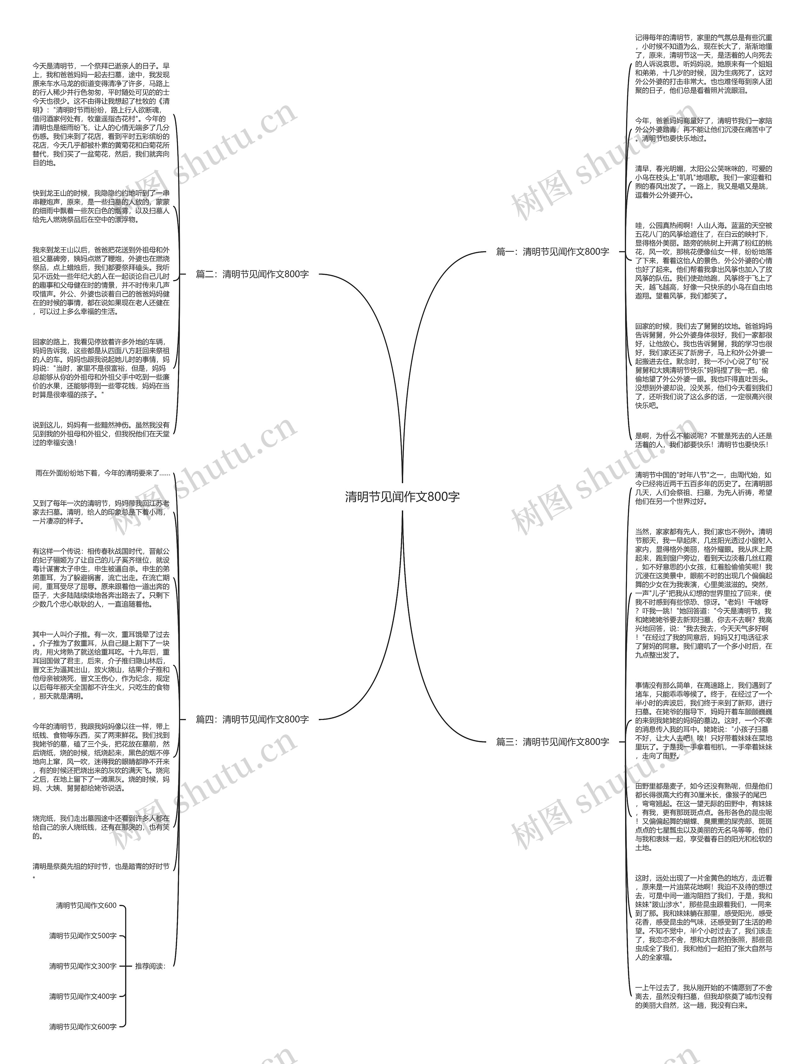 清明节见闻作文800字思维导图