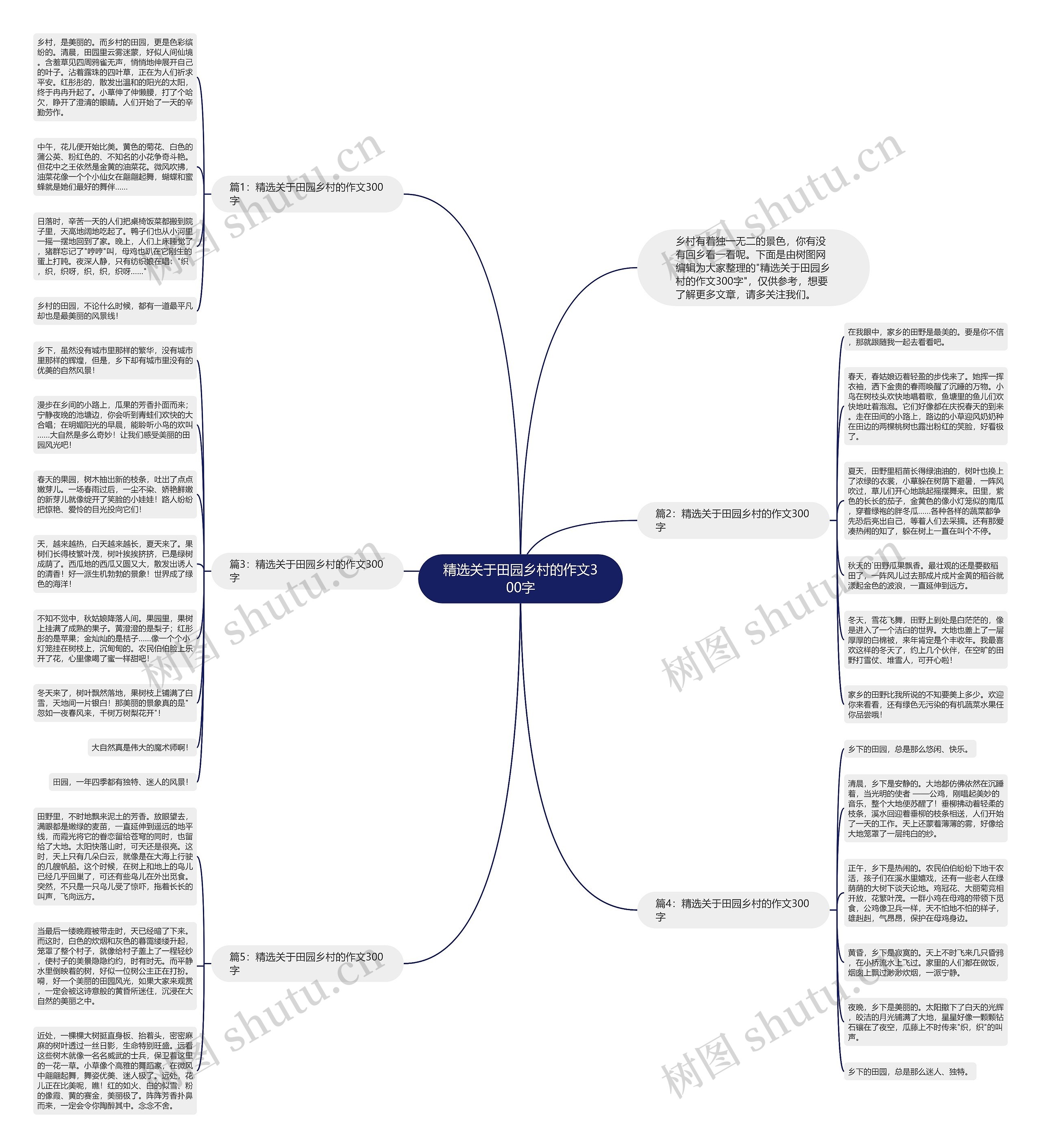 精选关于田园乡村的作文300字思维导图