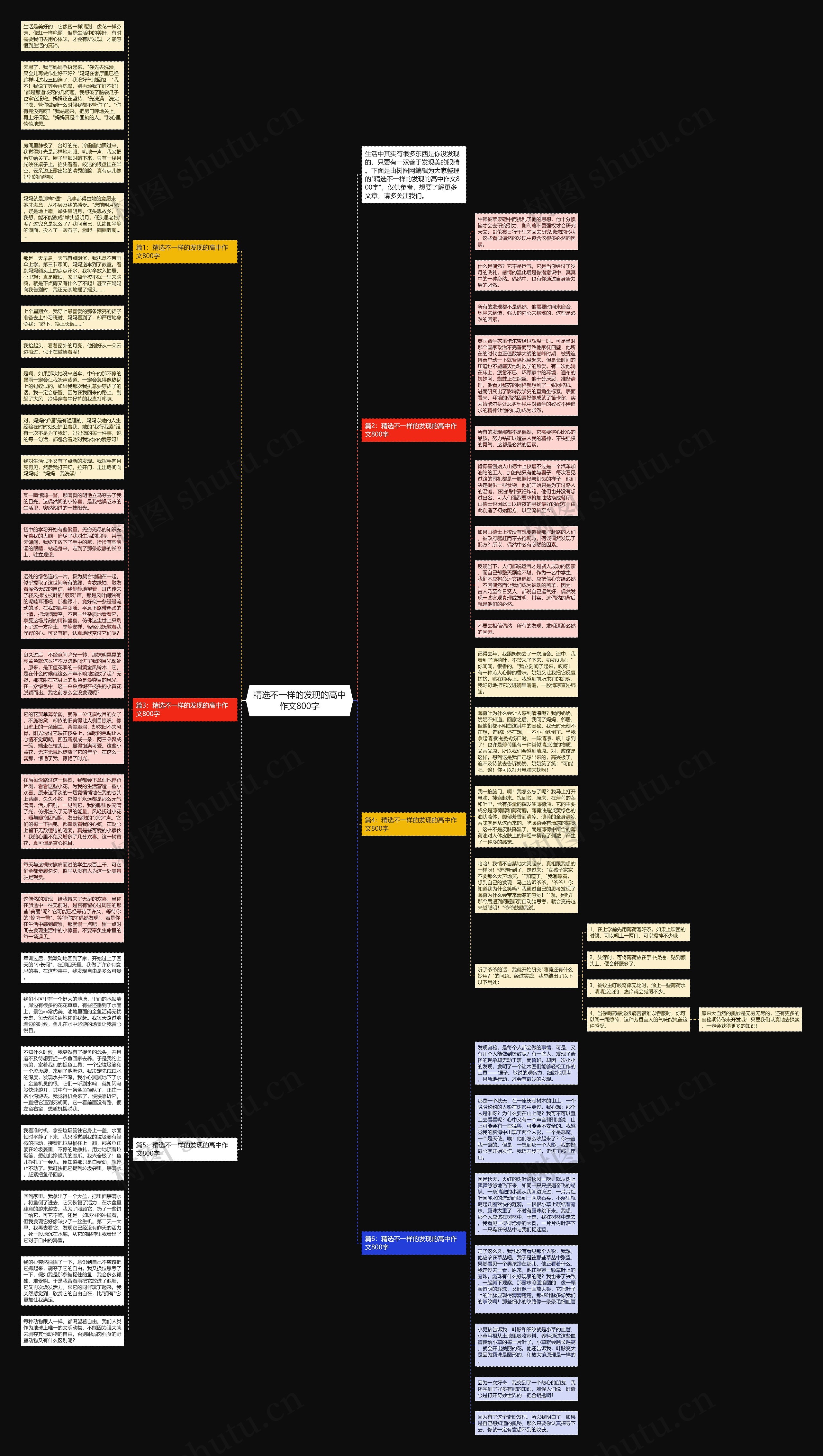 精选不一样的发现的高中作文800字思维导图