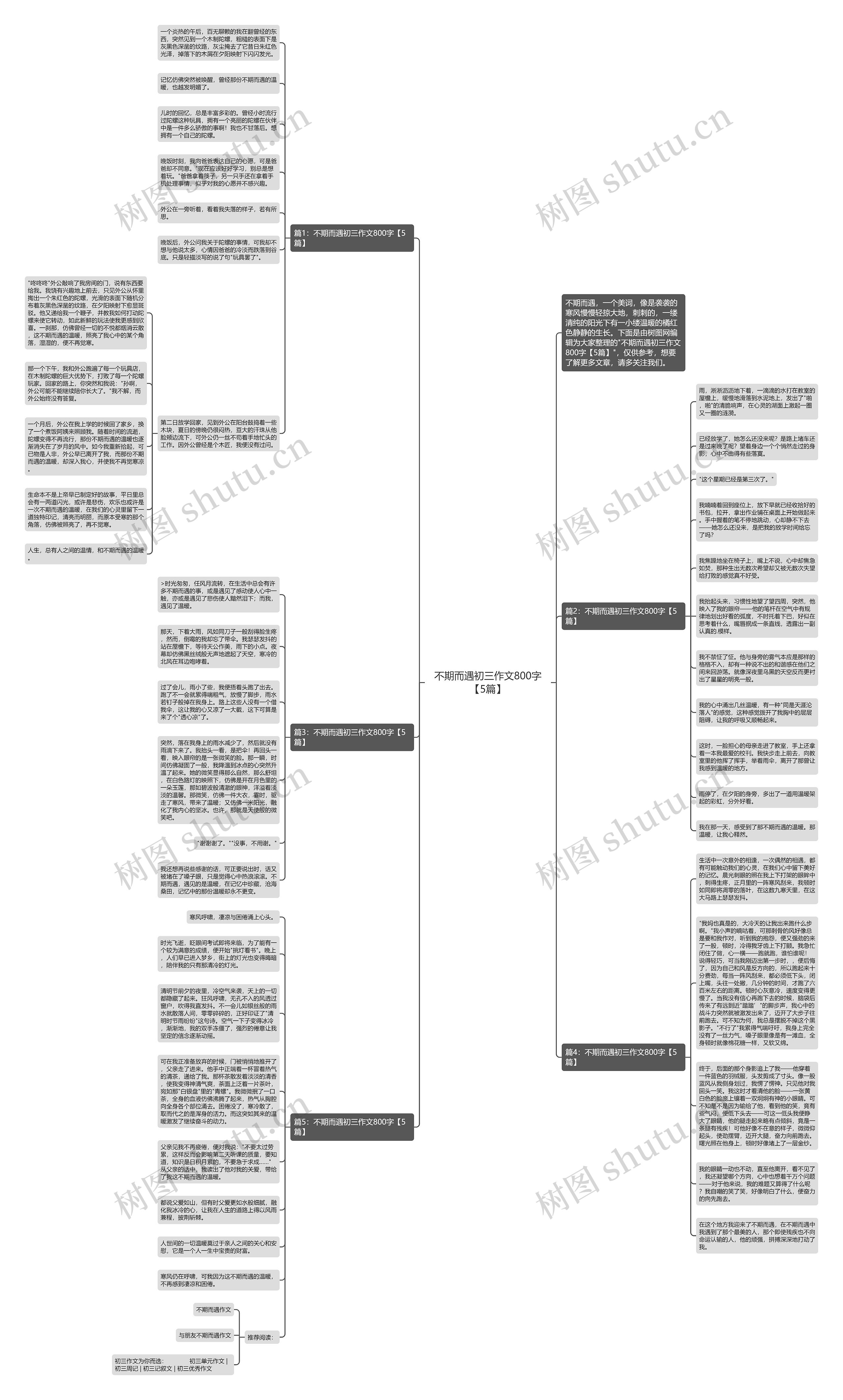 不期而遇初三作文800字【5篇】