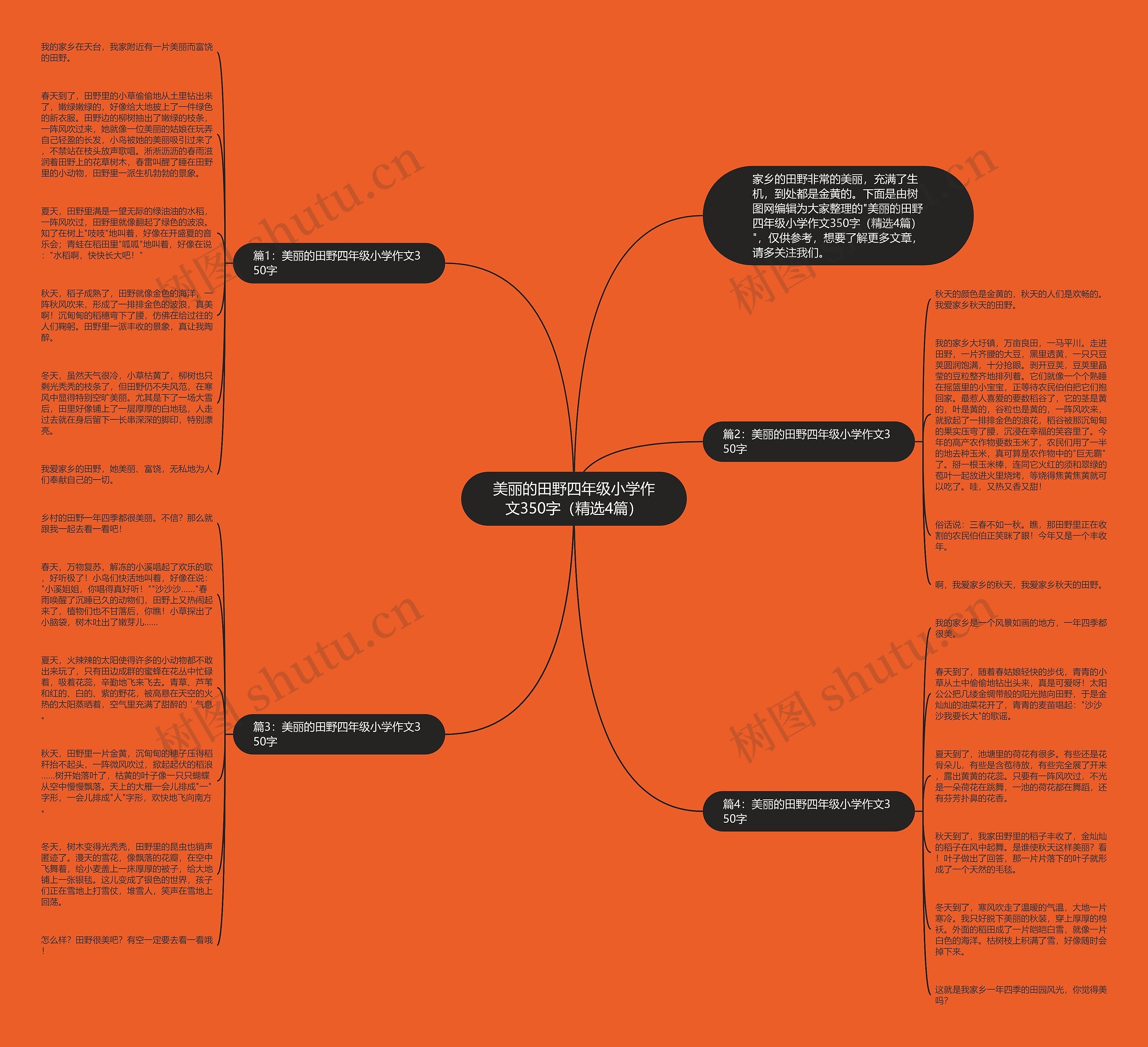 美丽的田野四年级小学作文350字（精选4篇）思维导图