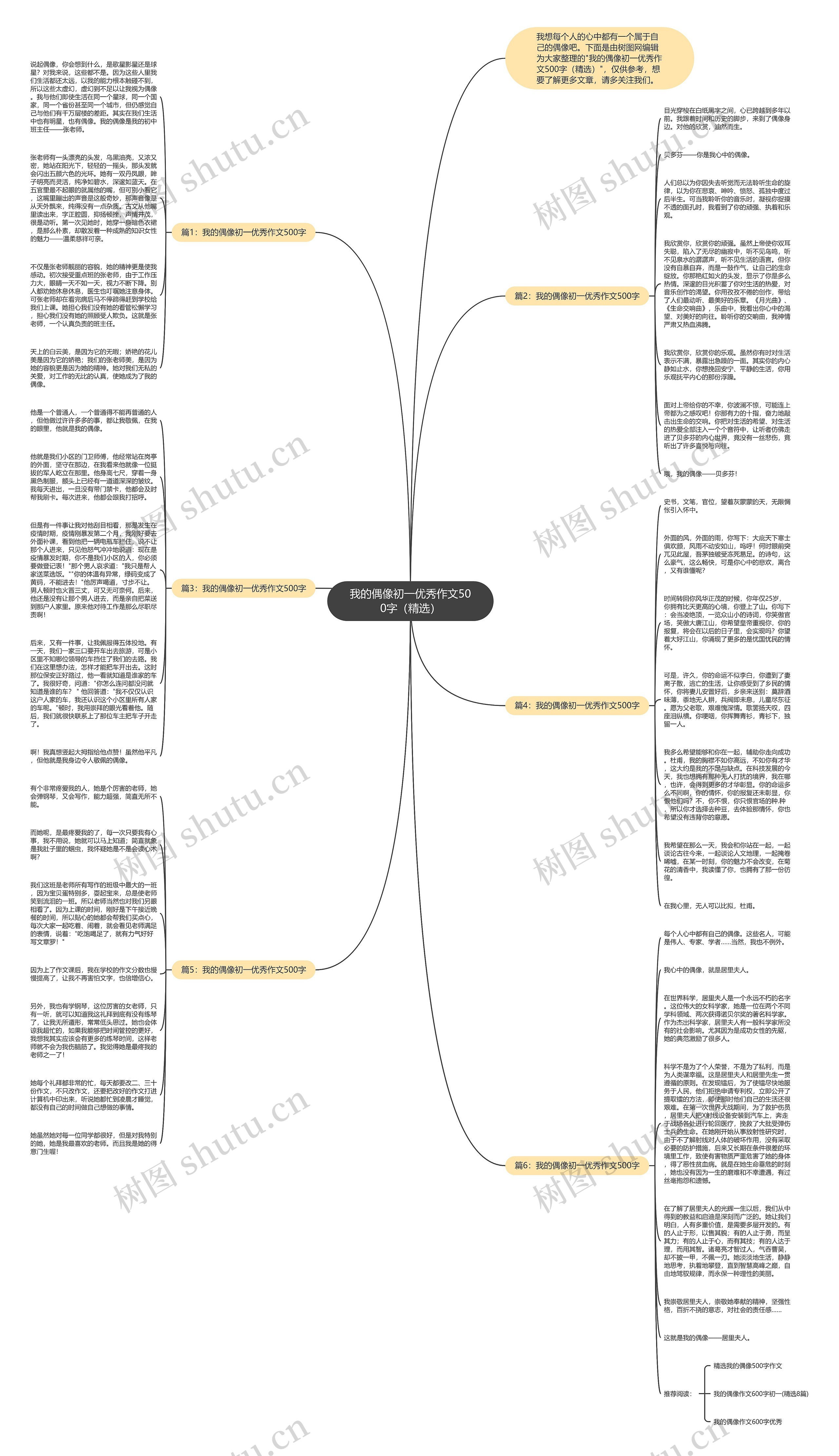我的偶像初一优秀作文500字（精选）思维导图