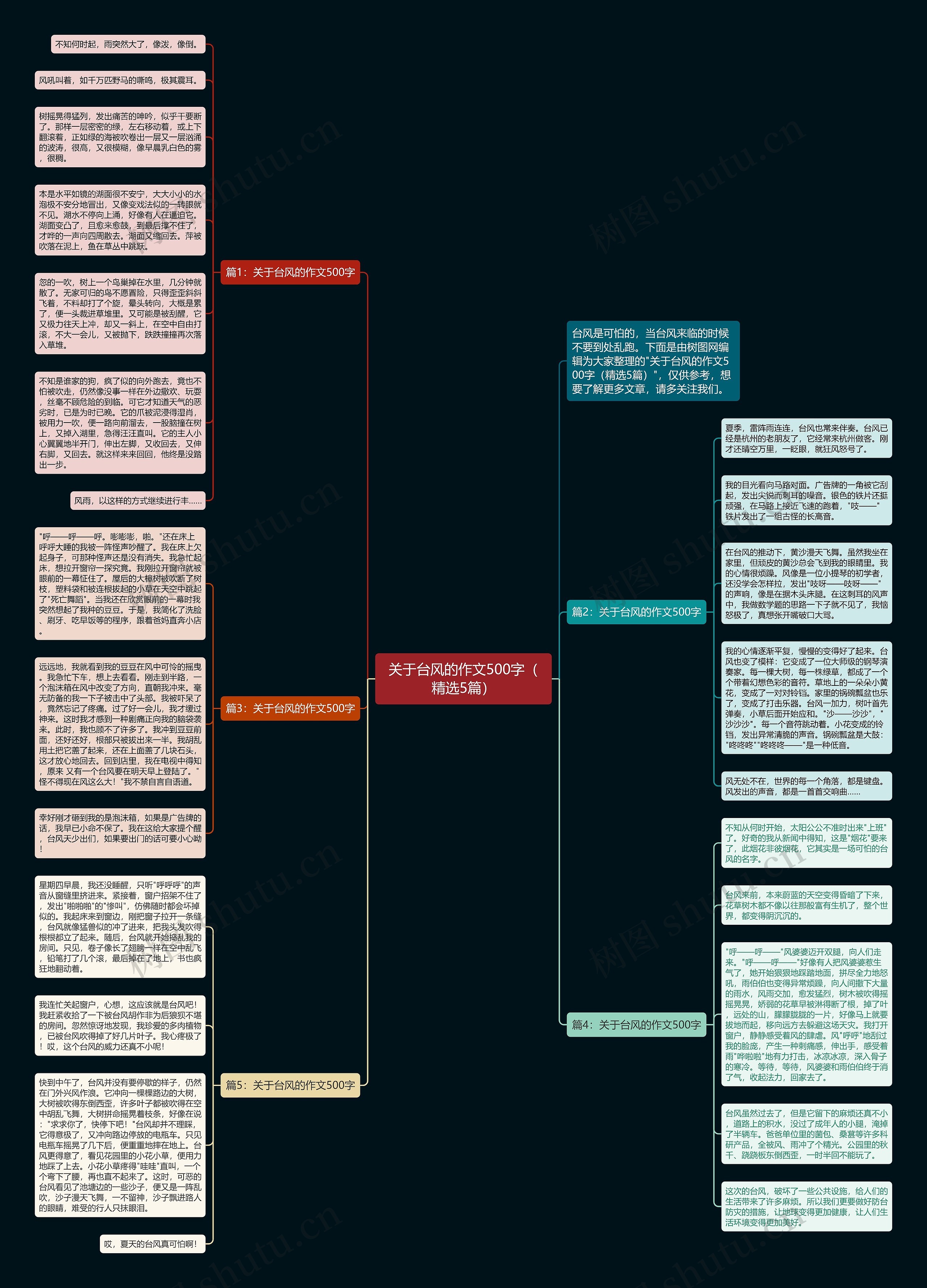 关于台风的作文500字（精选5篇）思维导图