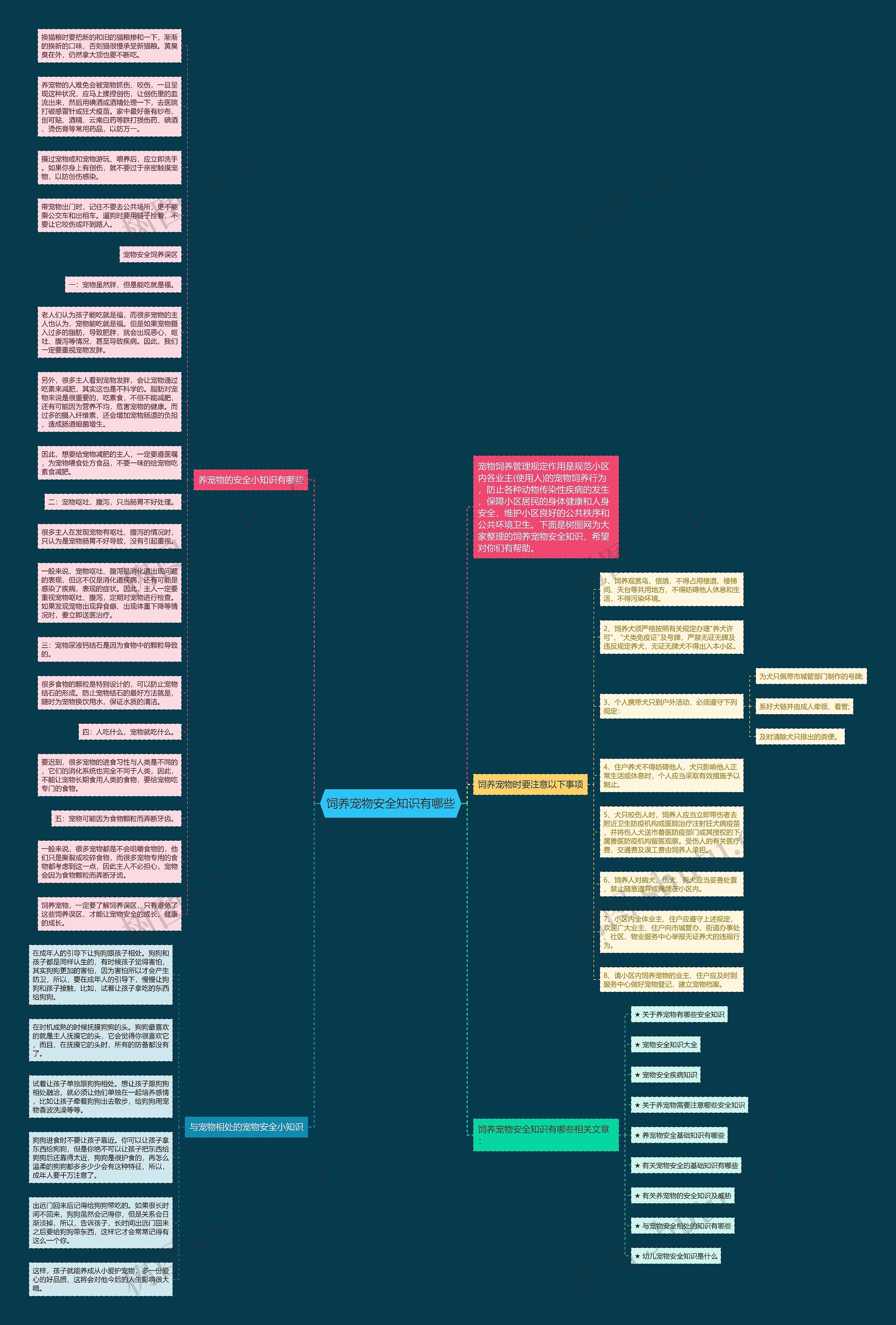 饲养宠物安全知识有哪些思维导图