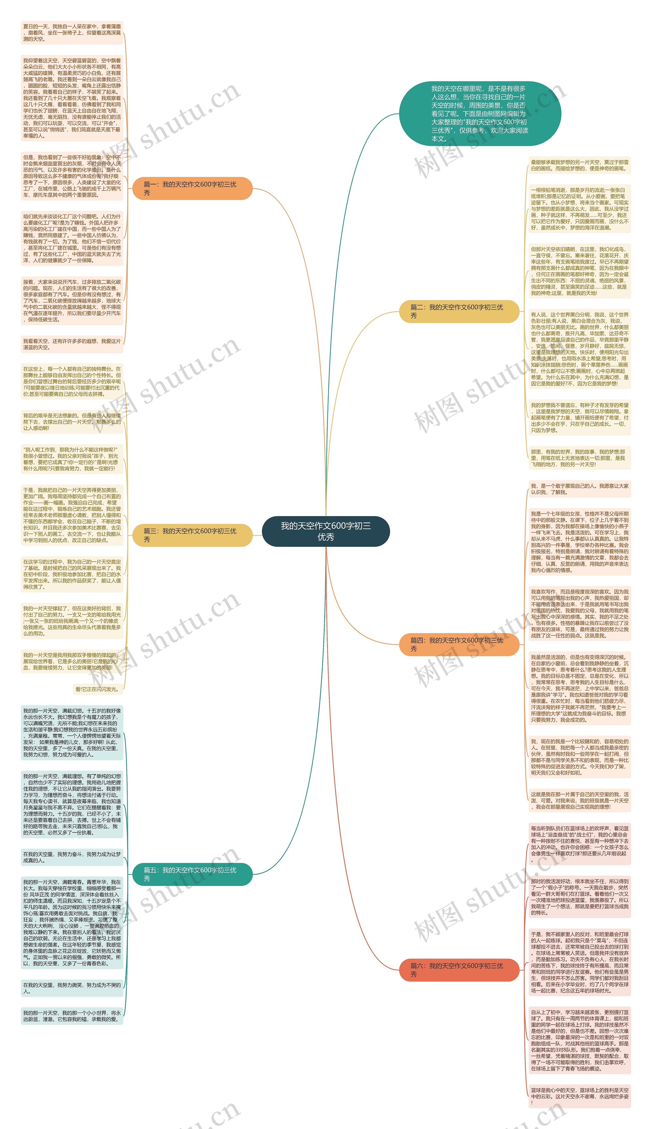 我的天空作文600字初三优秀思维导图