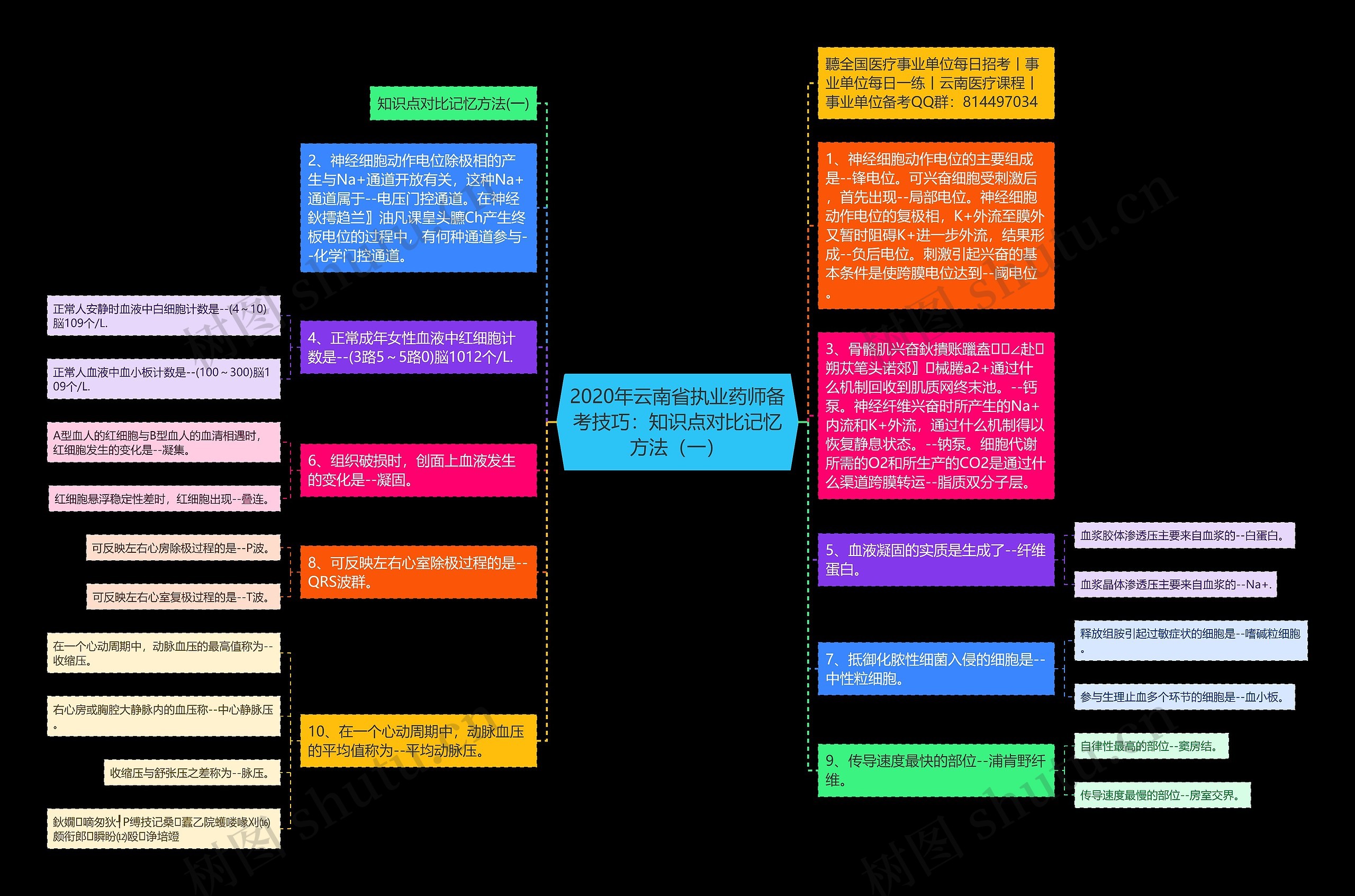 2020年云南省执业药师备考技巧：知识点对比记忆方法（一）思维导图