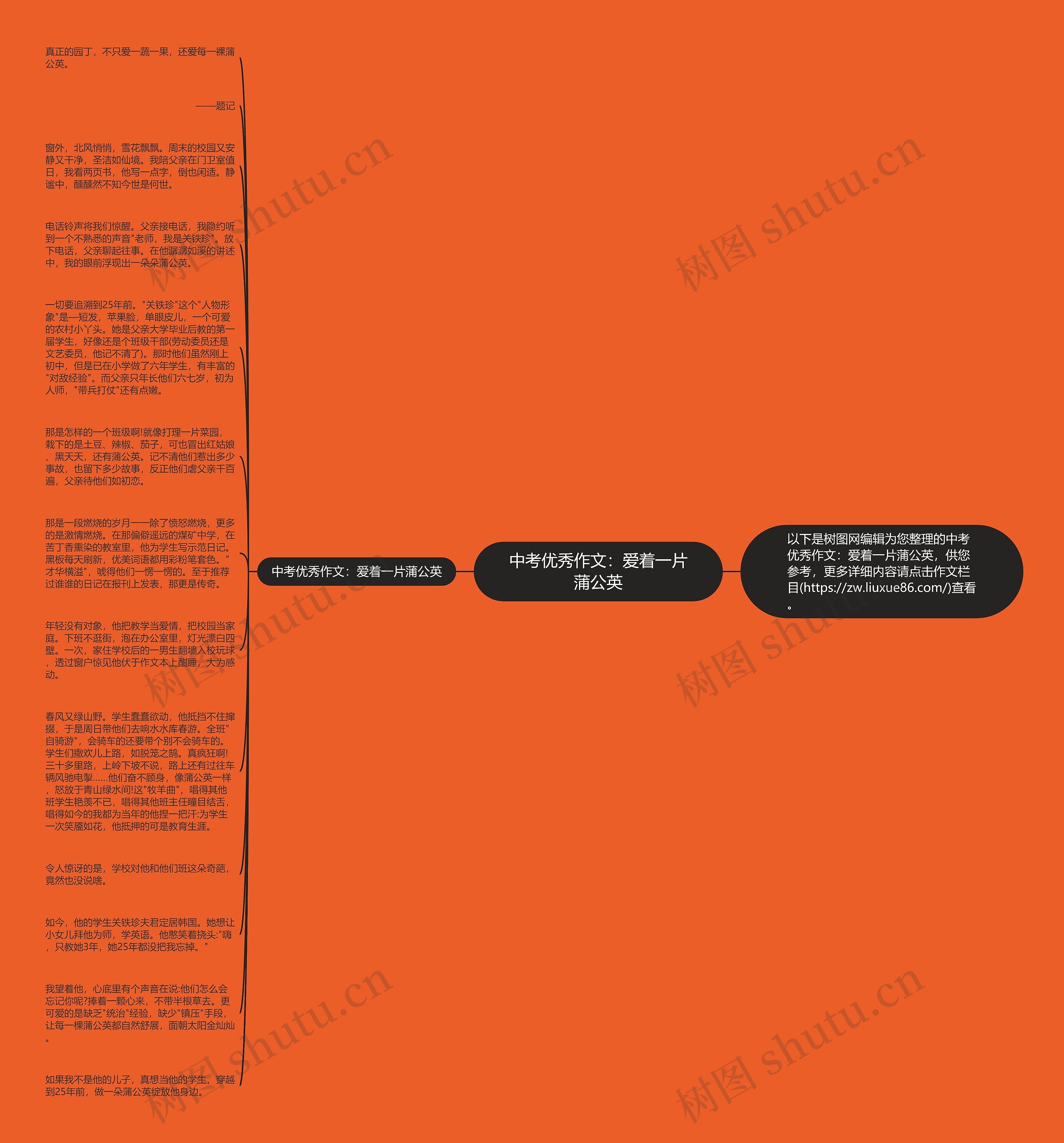 中考优秀作文：爱着一片蒲公英思维导图
