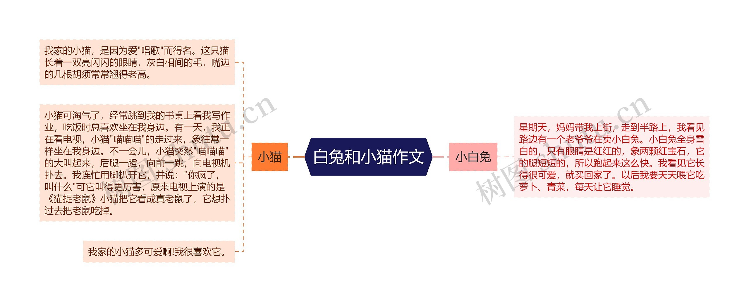 白兔和小猫作文