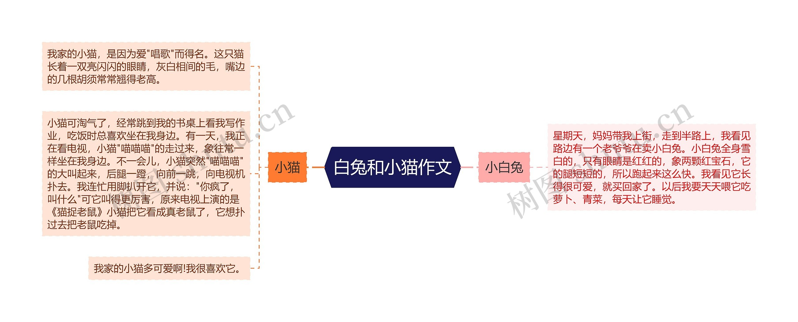 白兔和小猫作文思维导图