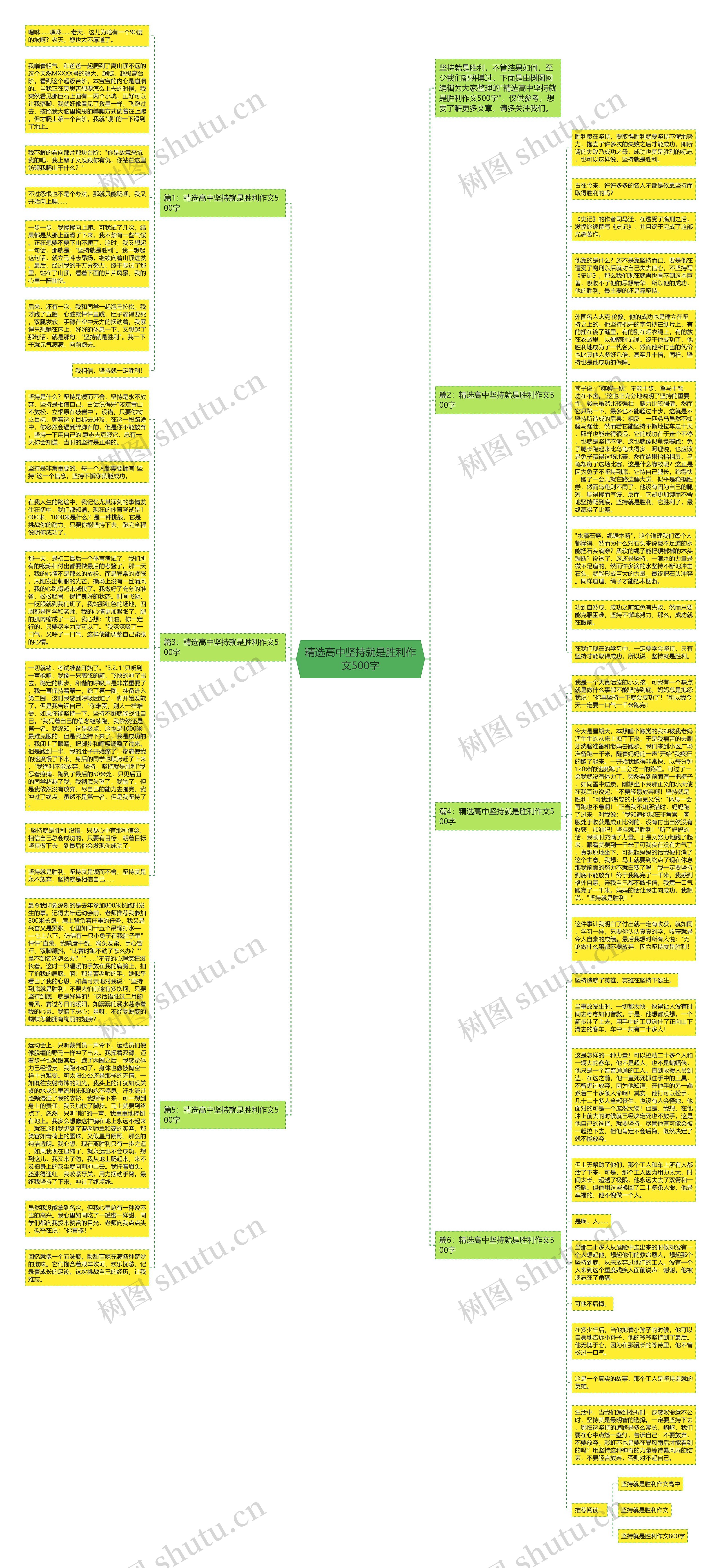 精选高中坚持就是胜利作文500字思维导图