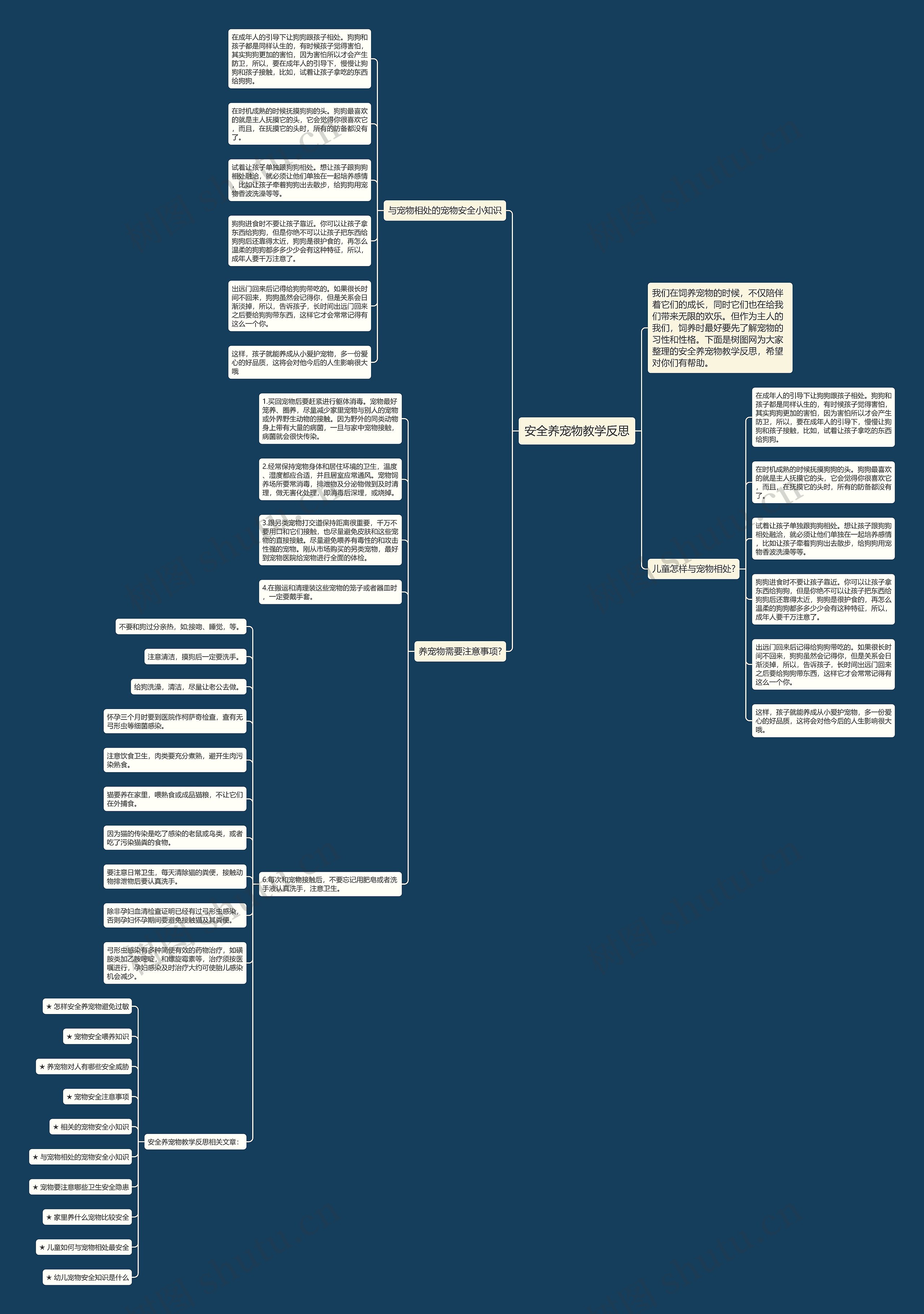 安全养宠物教学反思思维导图