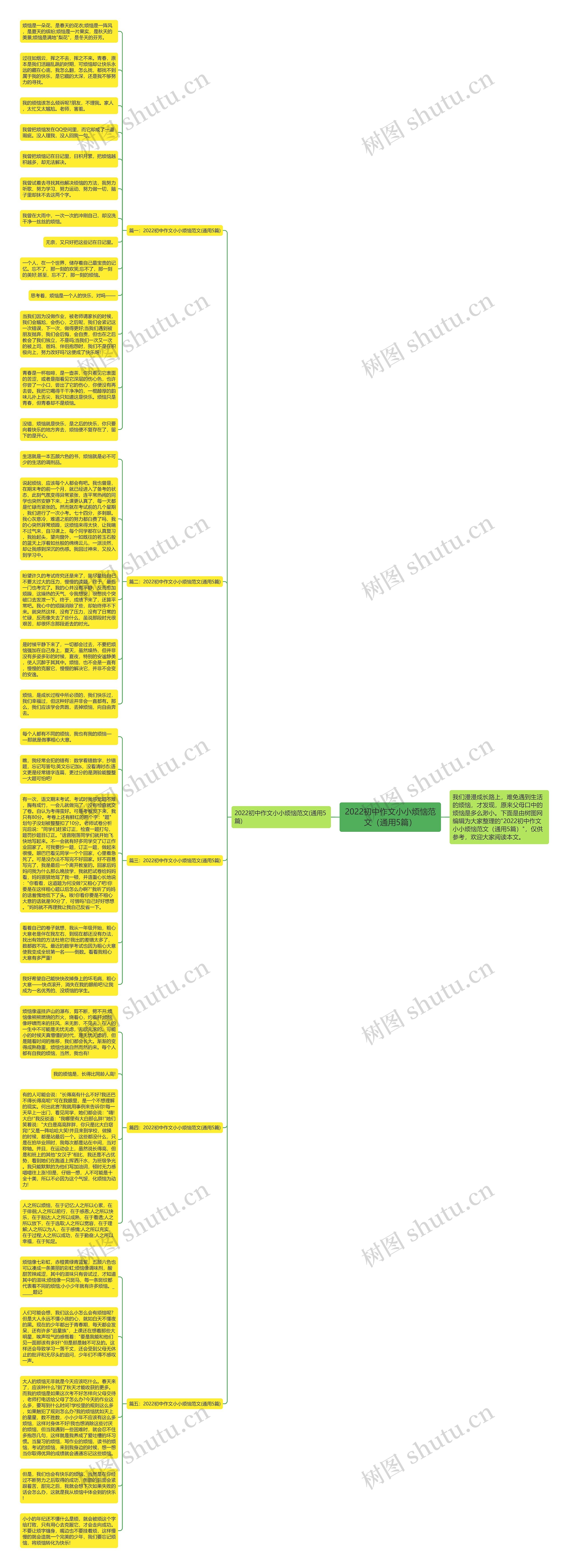 2022初中作文小小烦恼范文（通用5篇）思维导图