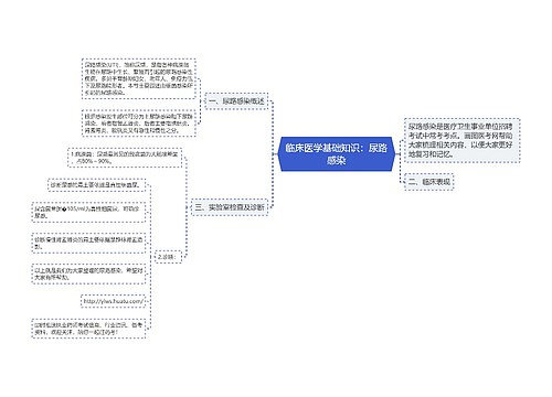 临床医学基础知识：尿路感染