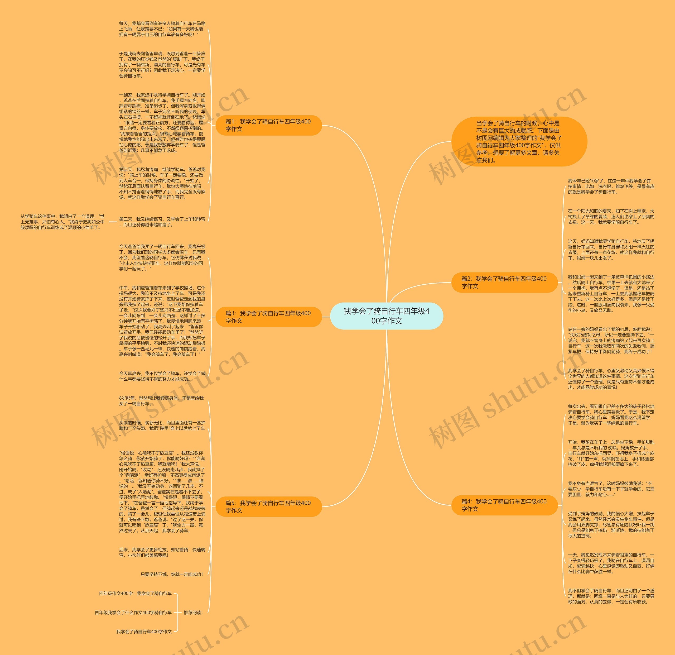 我学会了骑自行车四年级400字作文思维导图