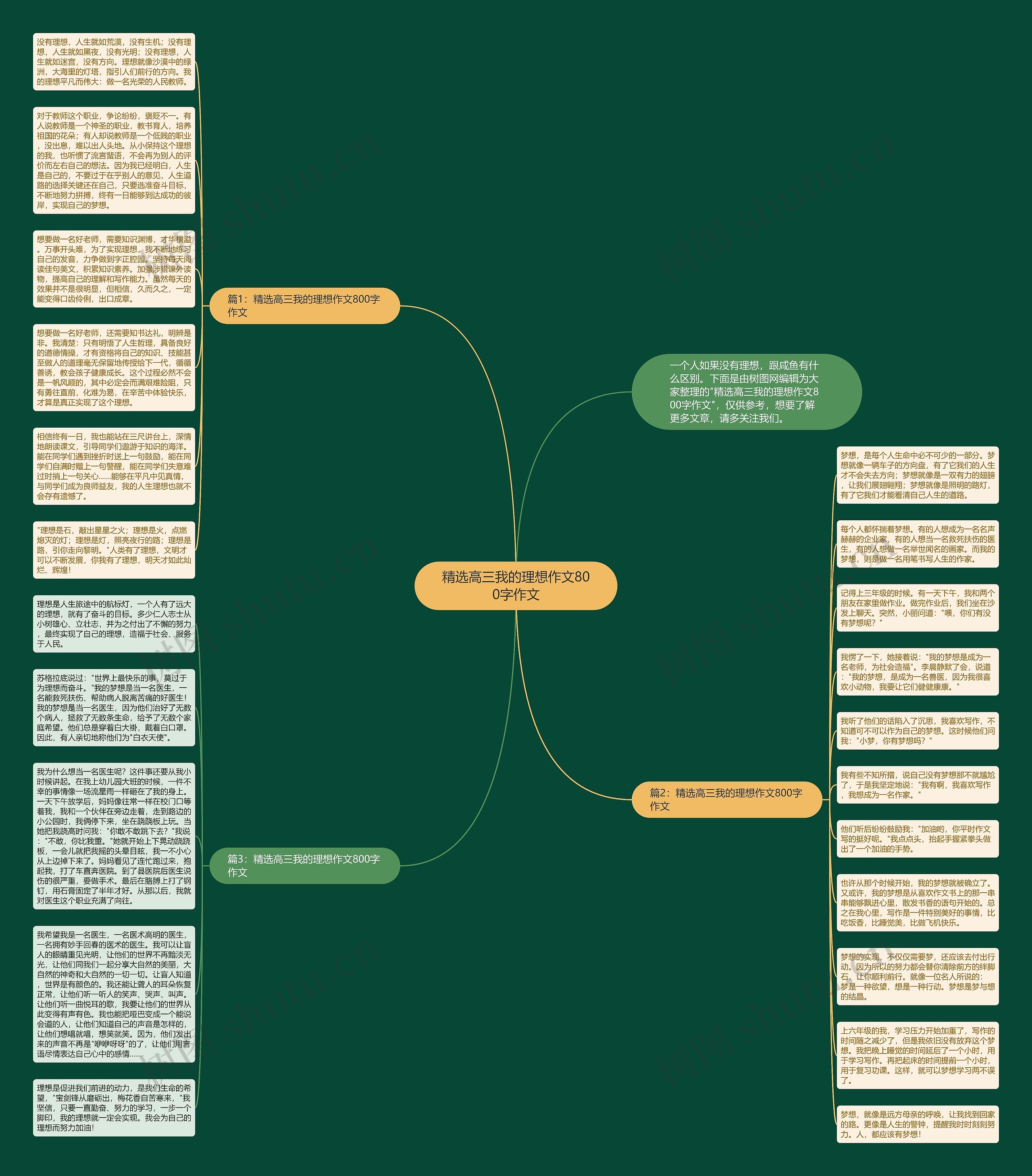 精选高三我的理想作文800字作文思维导图