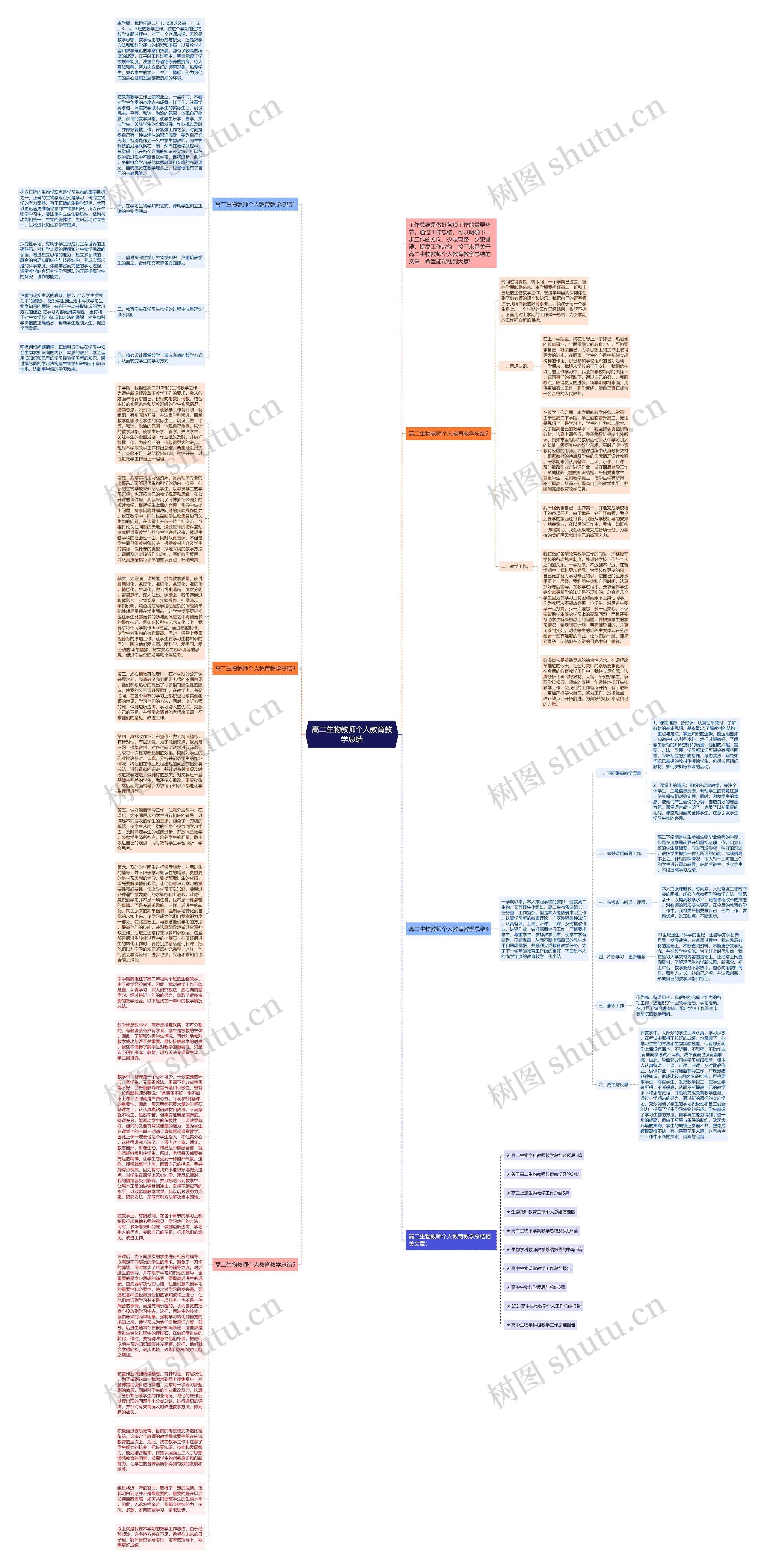 高二生物教师个人教育教学总结思维导图