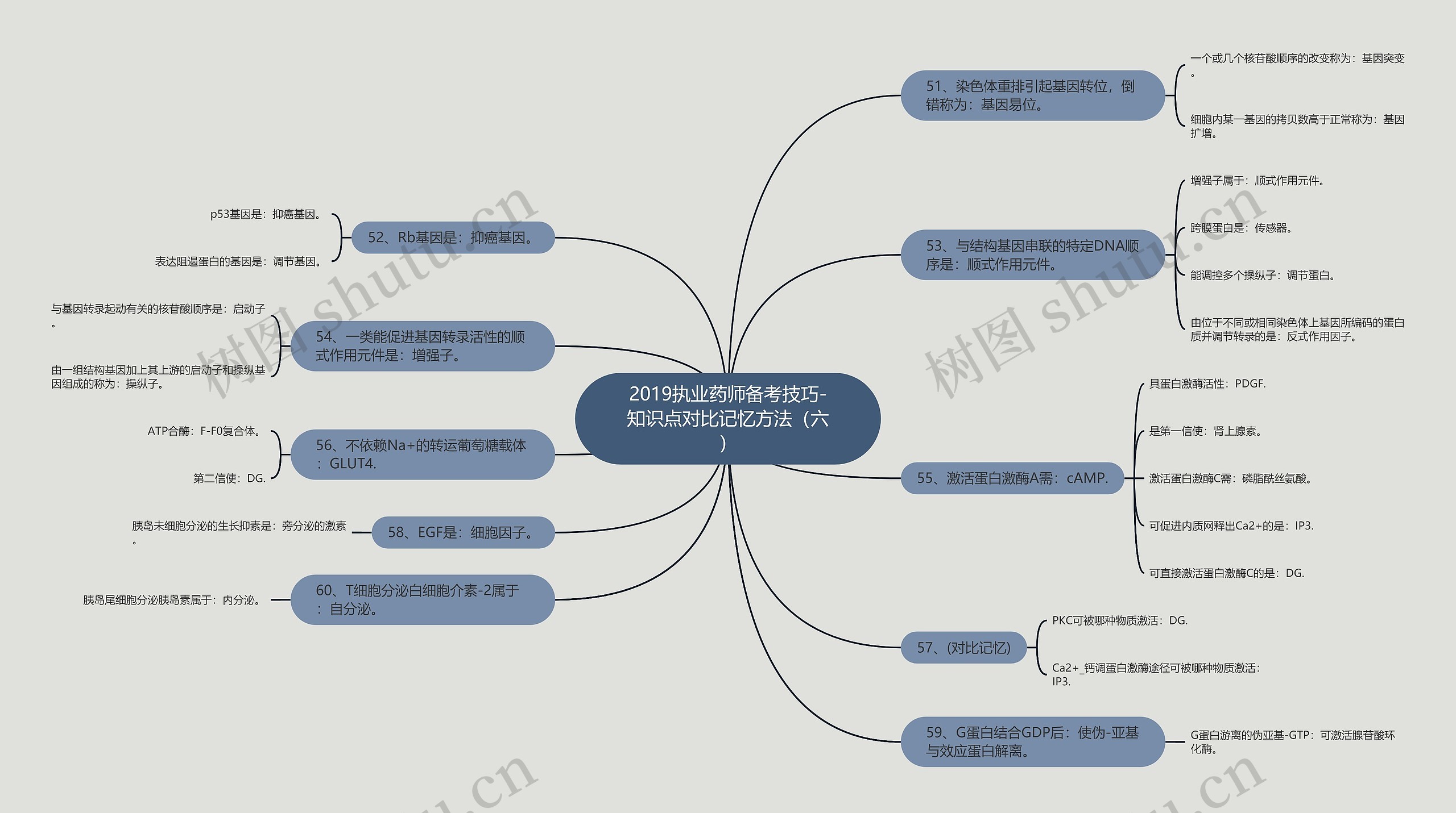 2019执业药师备考技巧-知识点对比记忆方法(六)思维导图高清图 2019执业药师备考技巧-知识点对比记忆方法(六)思维导图