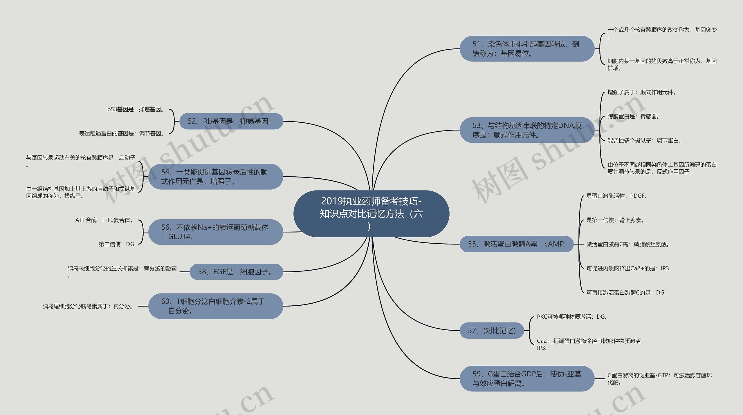 2019执业药师备考技巧-知识点对比记忆方法（六）思维导图