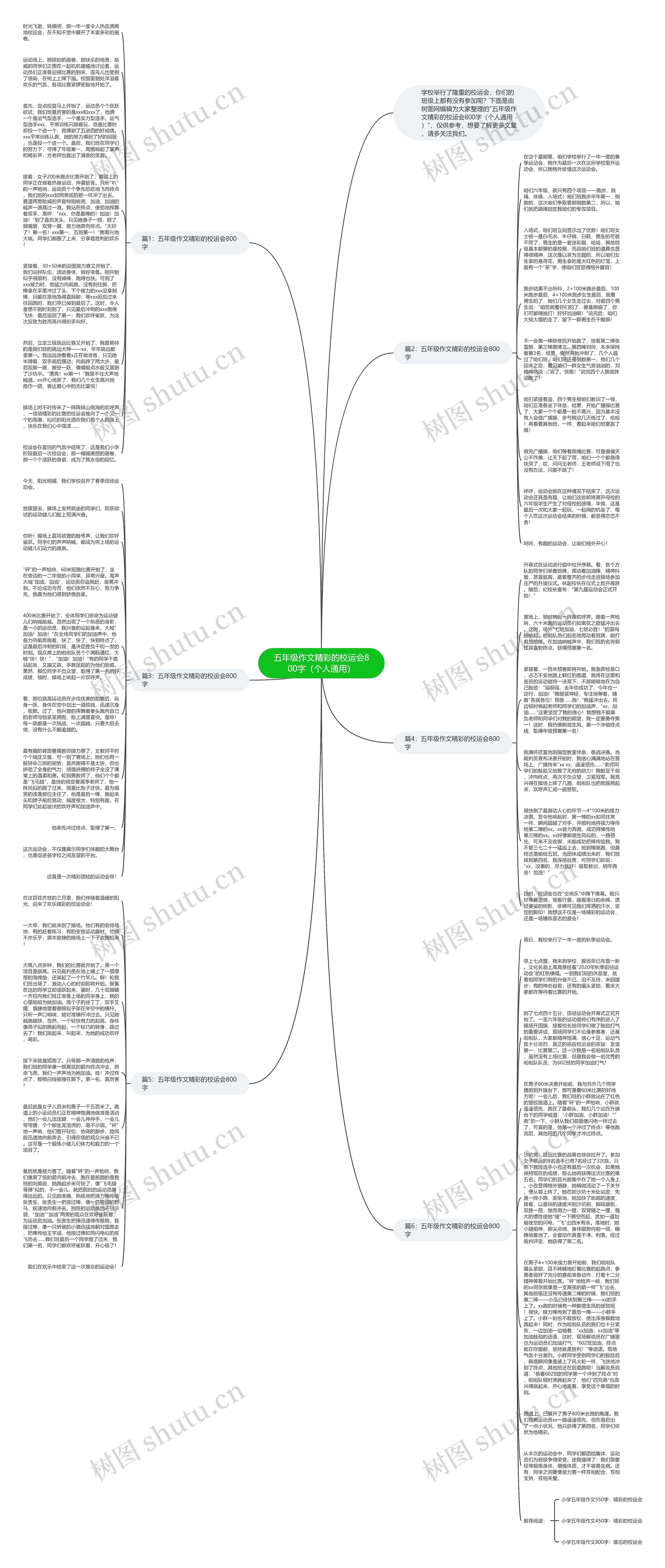 五年级作文精彩的校运会800字（个人通用）思维导图