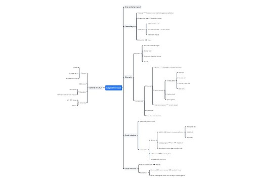 ﻿Digestive tract